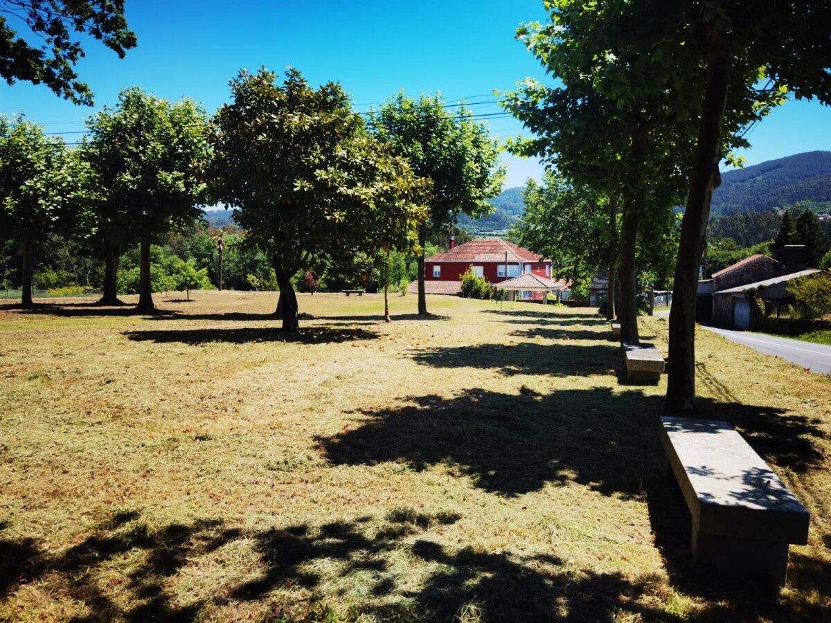 Limpeza da maleza nos víais municipais