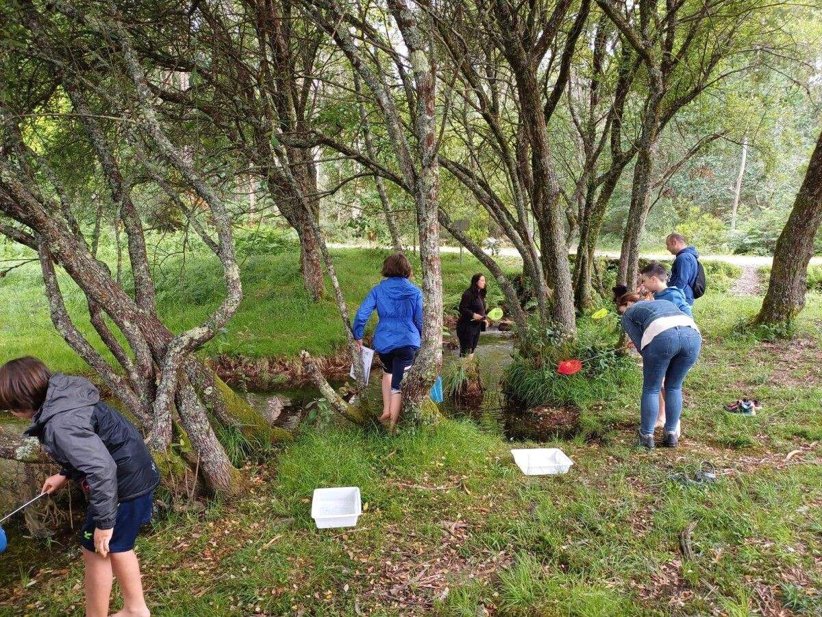 Actividade "Observando Macroinvertebrados. Os pequenos habitantes dos ríos"
