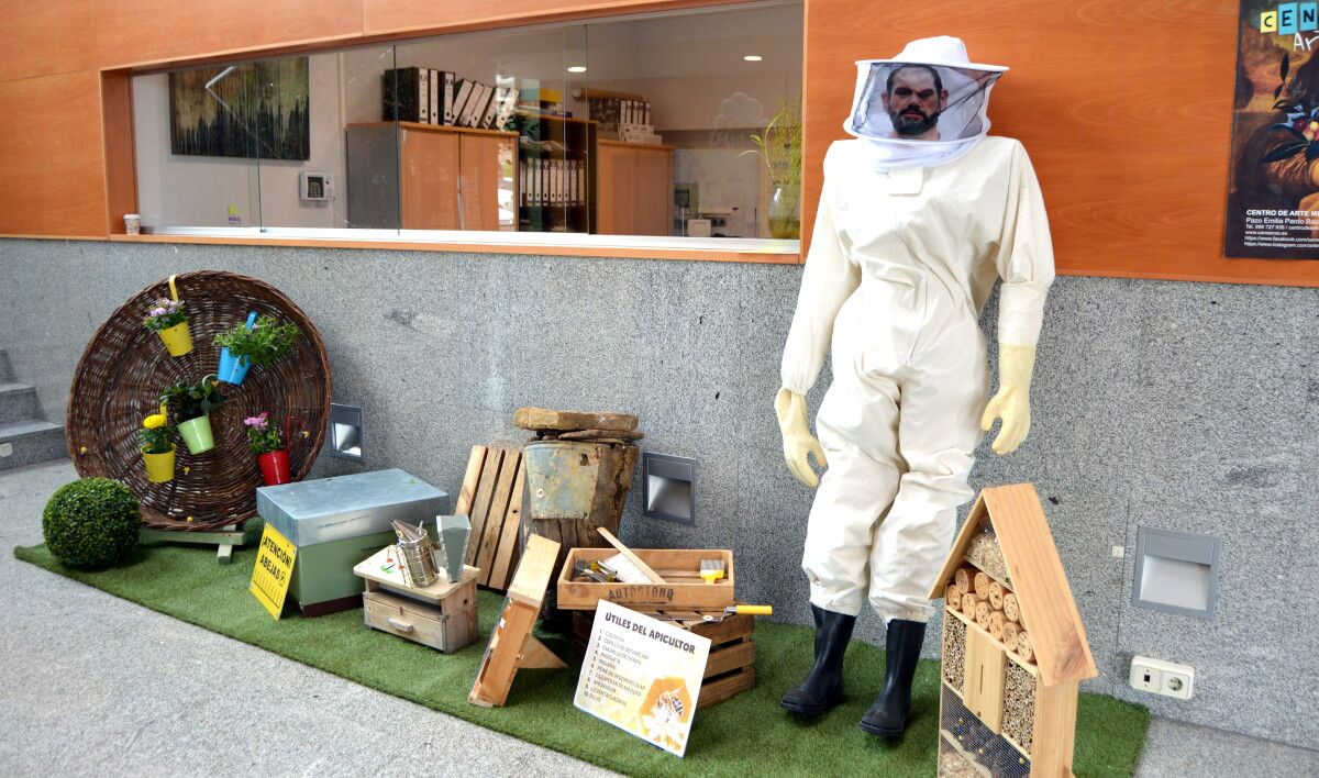 Parte da mostra '1000 e 1 abellas esenciais para a vida'