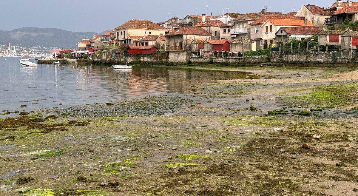 Playa de O Padrón, en Combarro