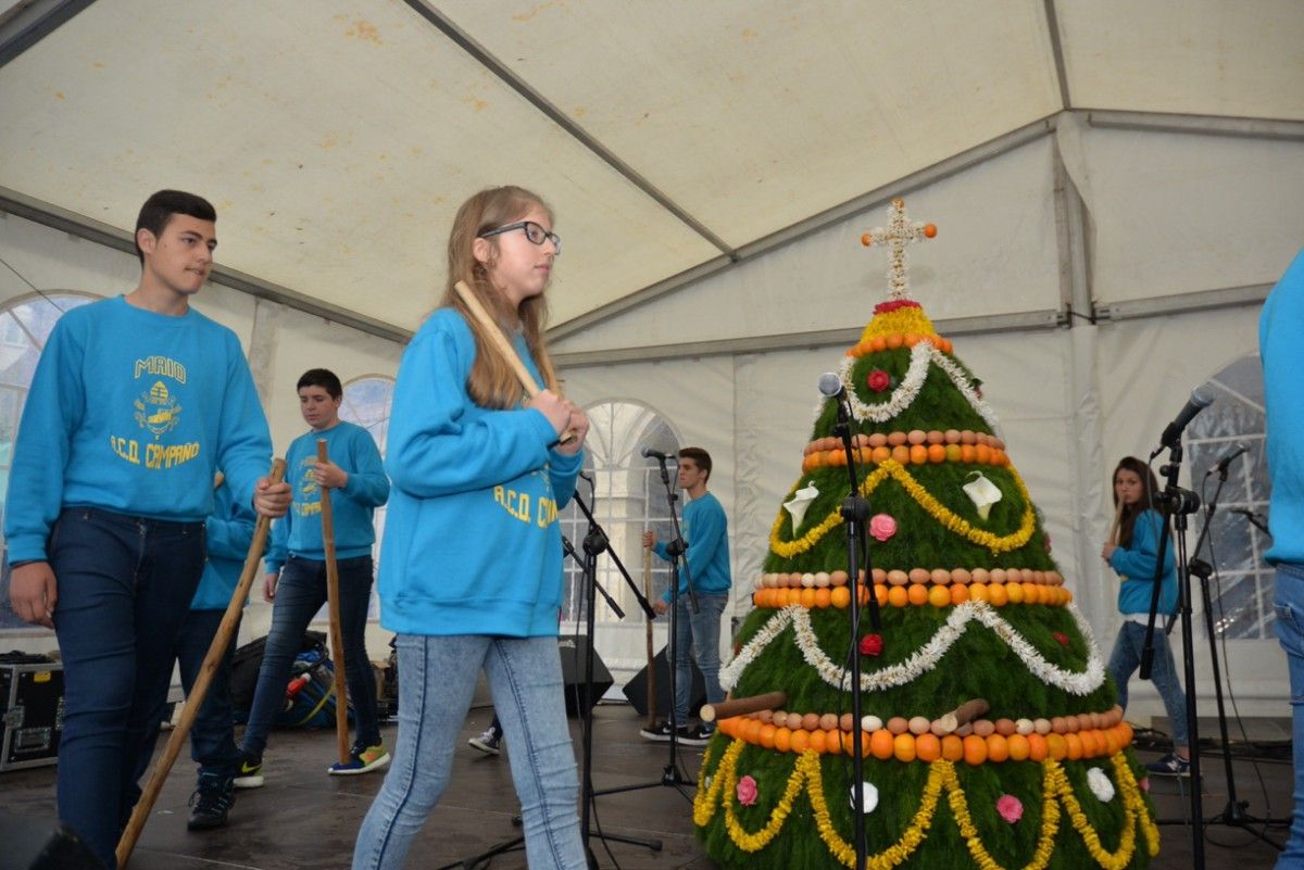 Concurso de Maios 2015