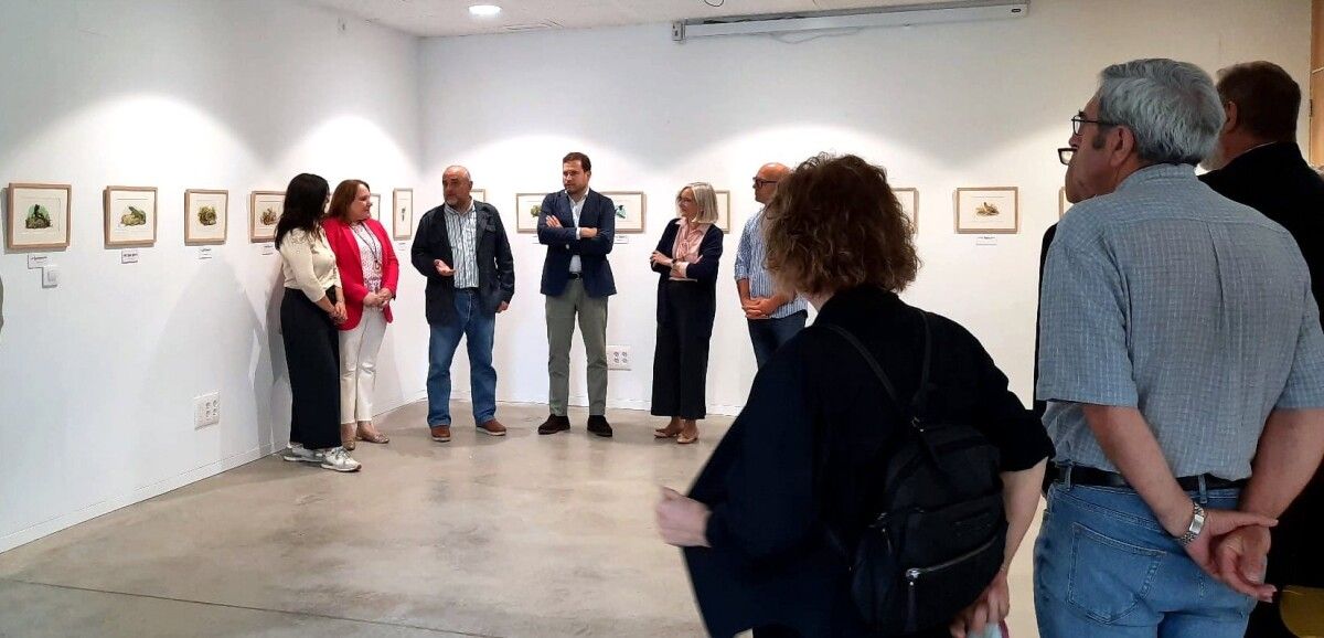 Inauguración da mostra de ilustracións de Miguelanxo Prado sobre 'Os animais de Fraguas'