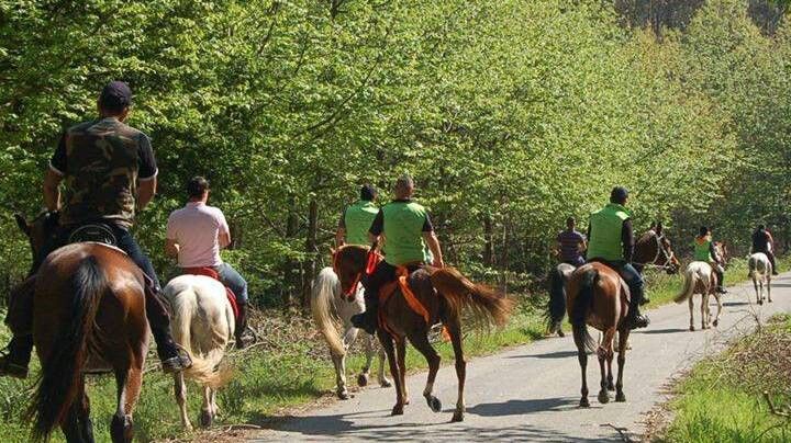 III Ruta Cabalar O Salnés Tabeirós