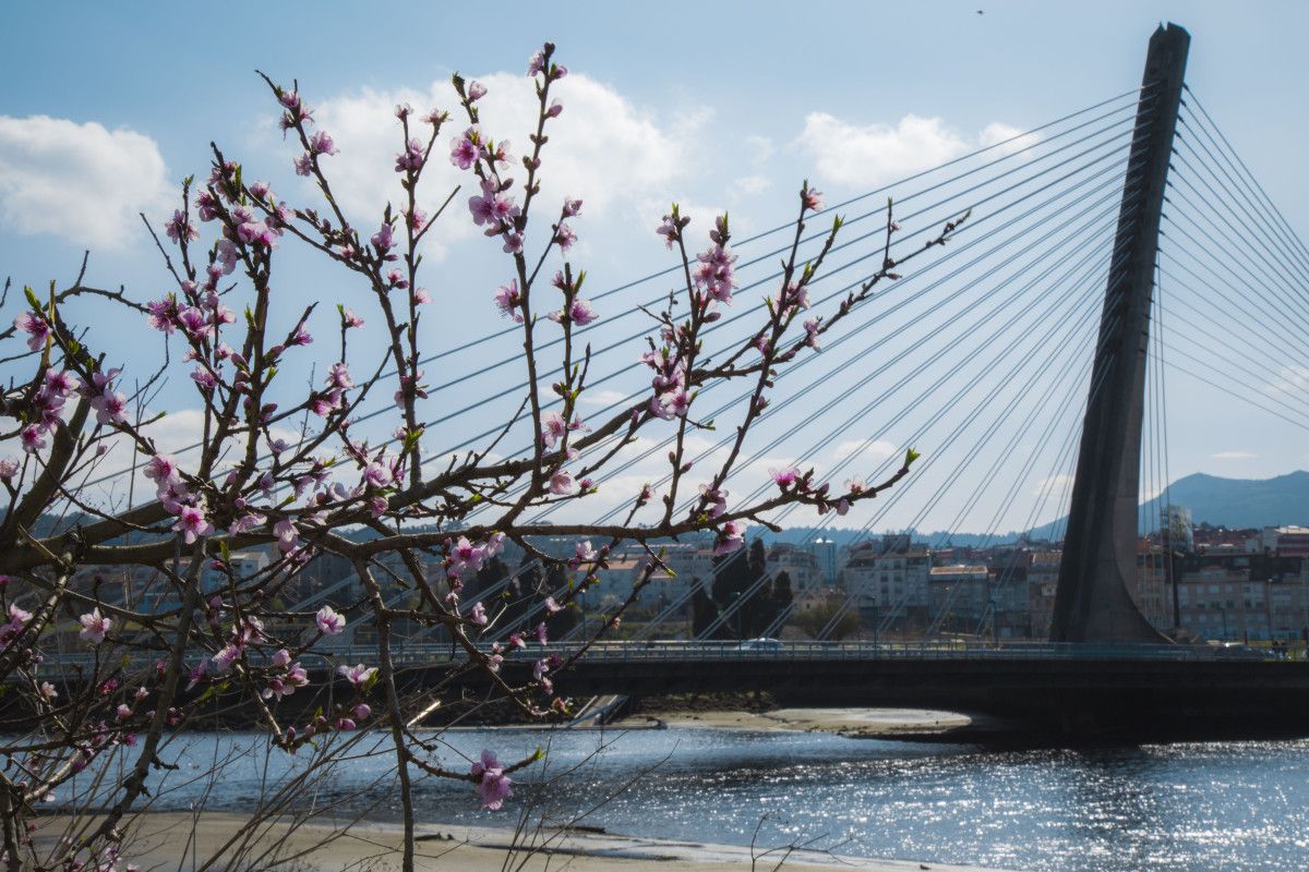 Fotografía gañadora do premio do público no maratón fotográfico 'Imaxes de Primavera'