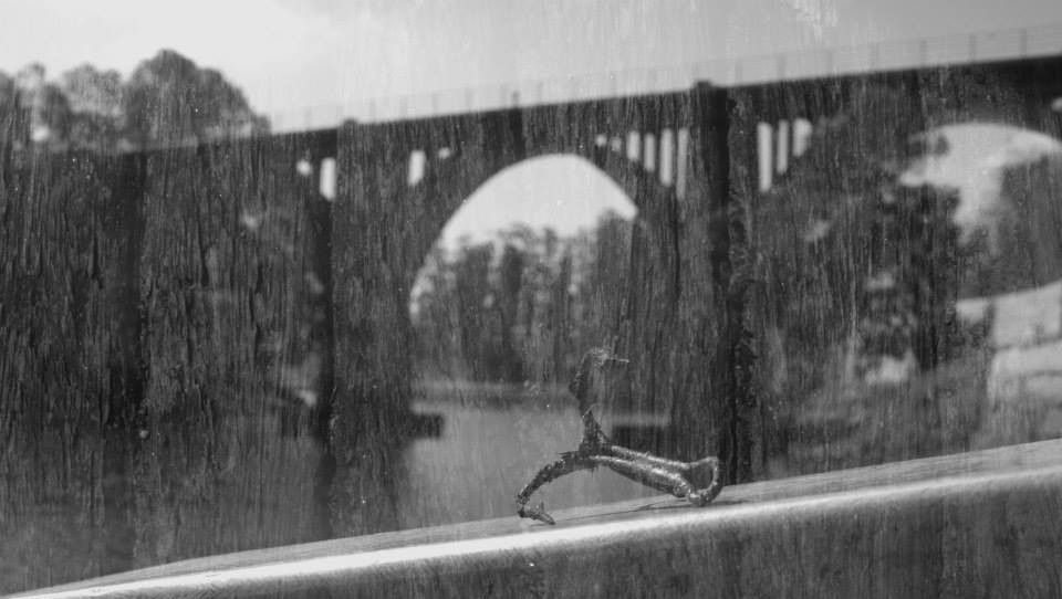 Fotografía gañadora da primeira edición do maratón fotográfico 'Imaxes de Primavera'