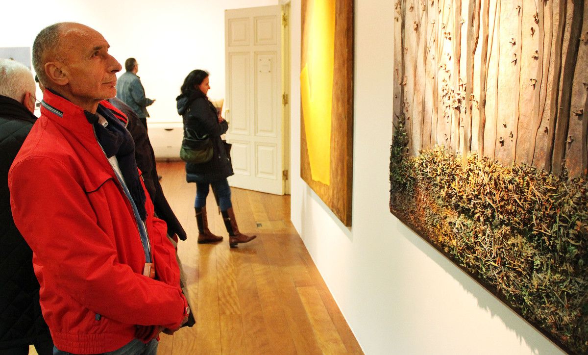 Inauguración da exposición 'Unha mirada, dous tempos. Pintores de Pontevedra II'