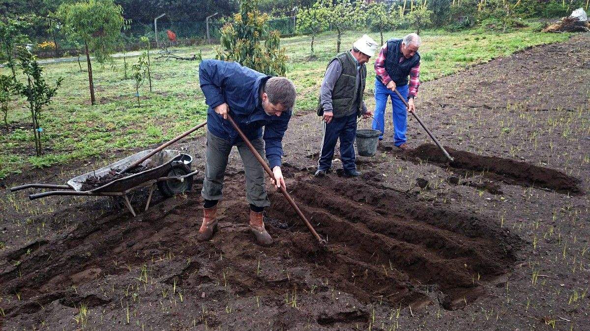 Jacobo Moreira, candidato do PP, traballando como agricultor