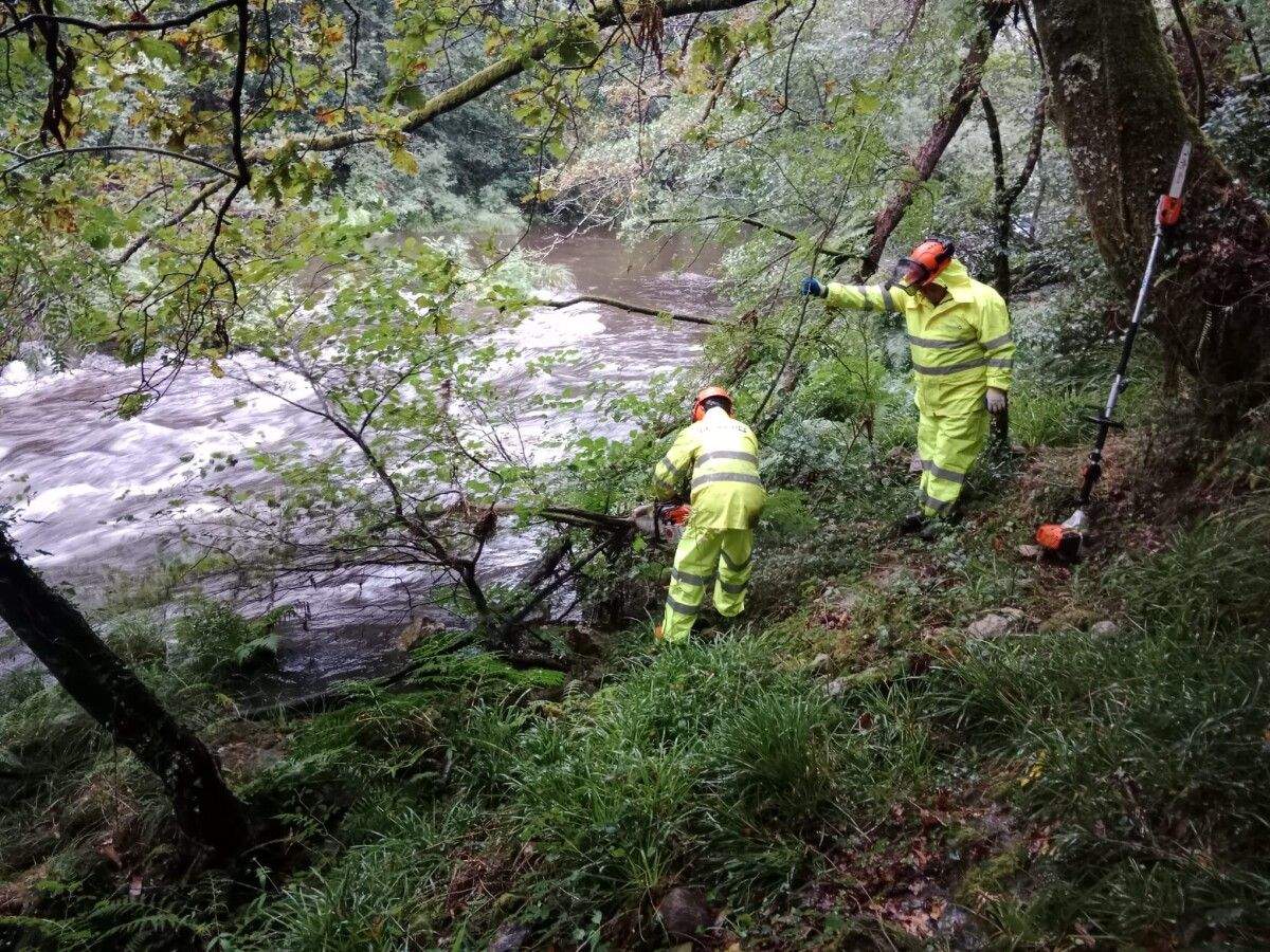 Actuaciones de conservación en el río Umia