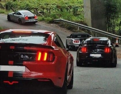 Algúns dos Mustangs que acudían á concentración