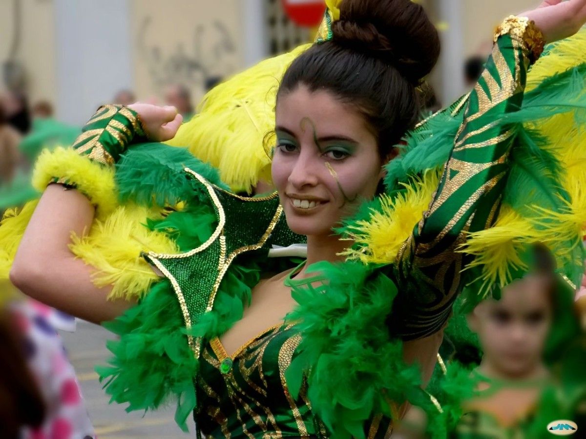 Desfile de Carnaval Desfile de Carnaval