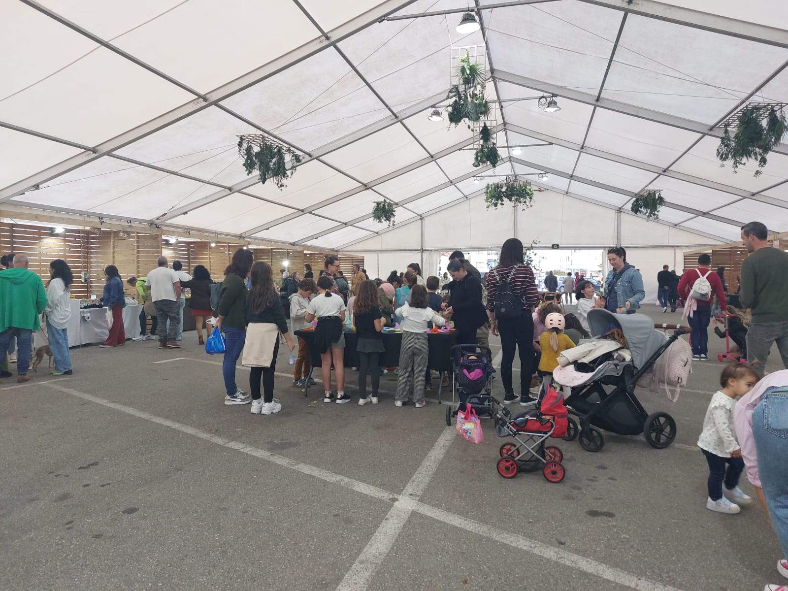 Carpa de As Lagoas