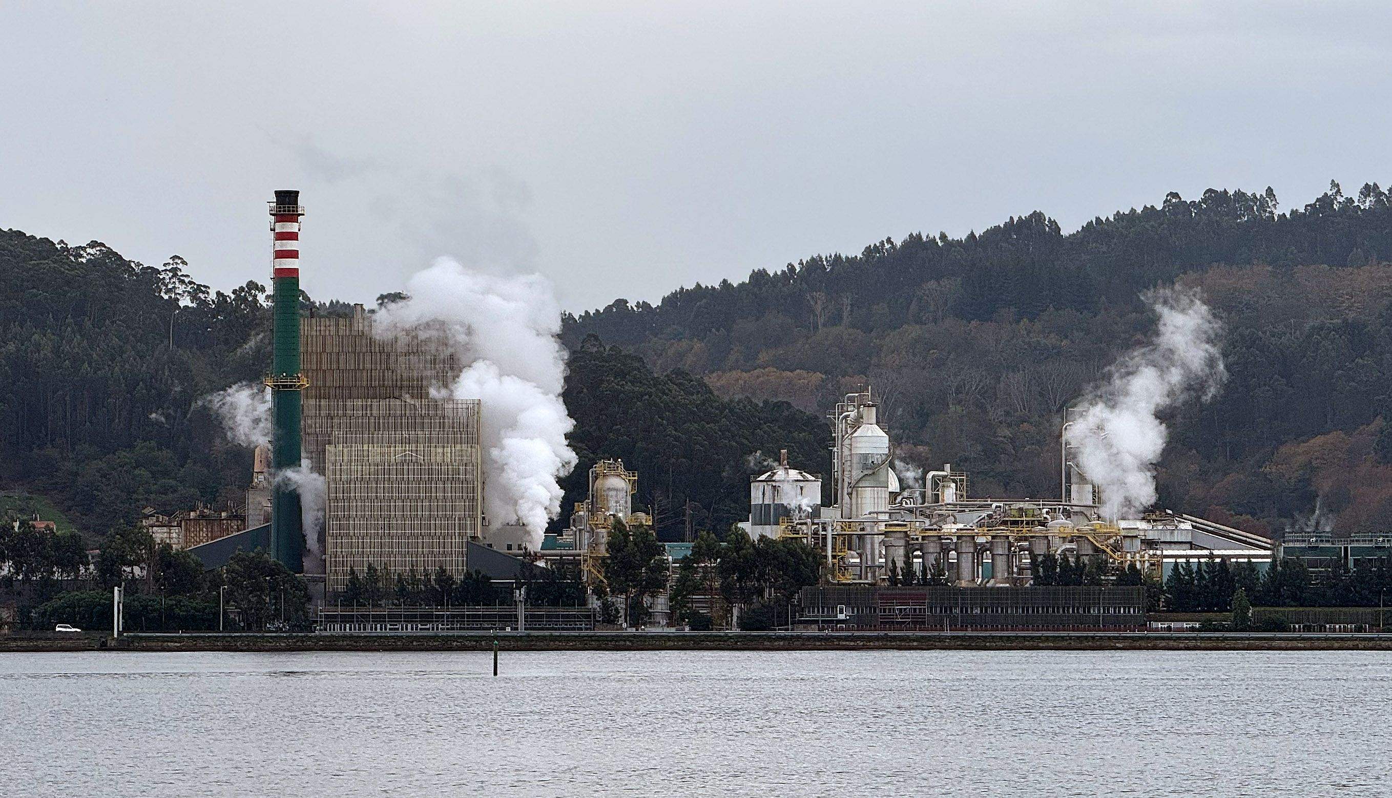 Fábrica de ENCE en Lourizán