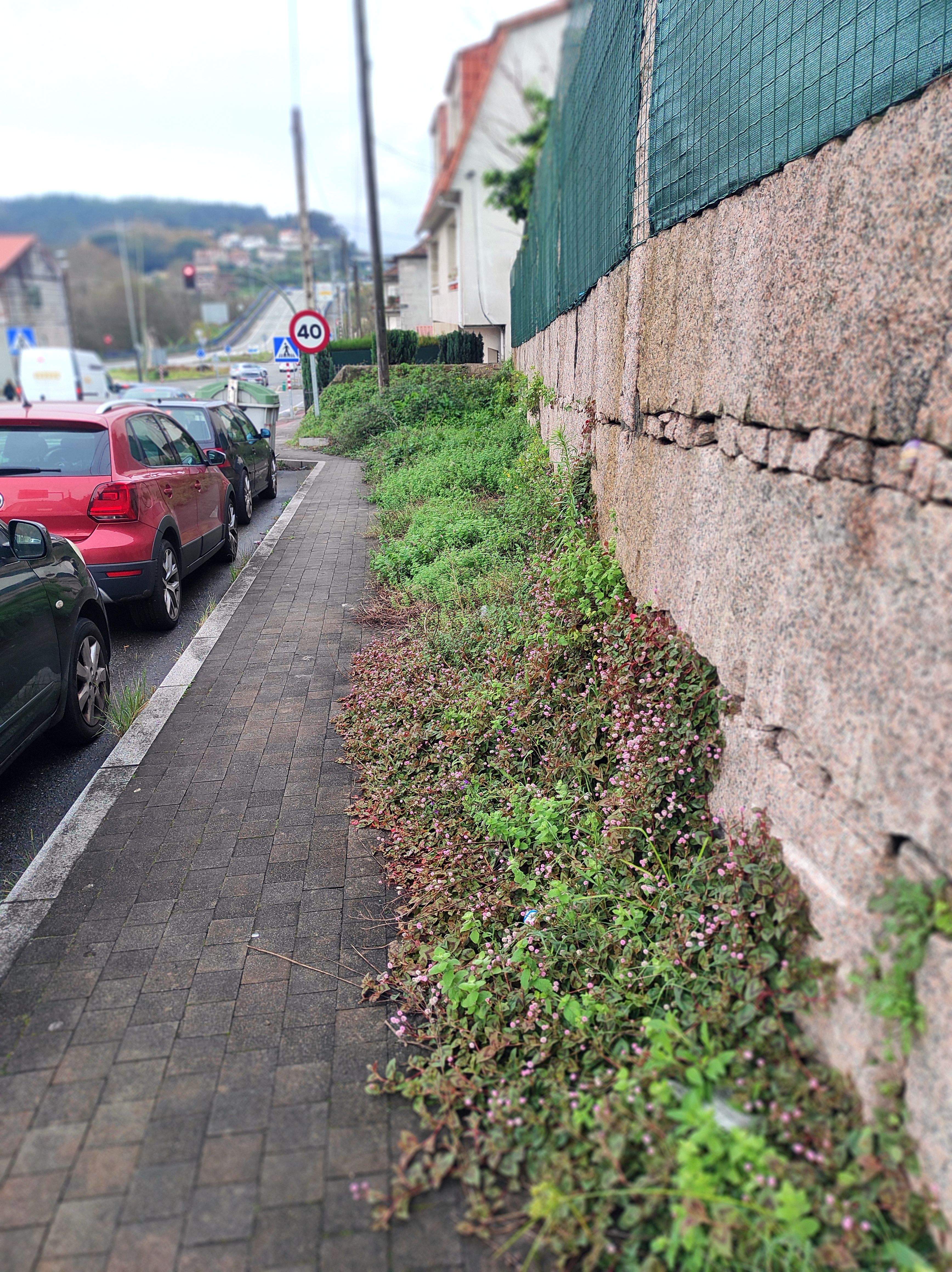 Reclaman limpieza de las aceras en San Miguel de Marcón Reclaman limpieza de las aceras en San Miguel de Marcón