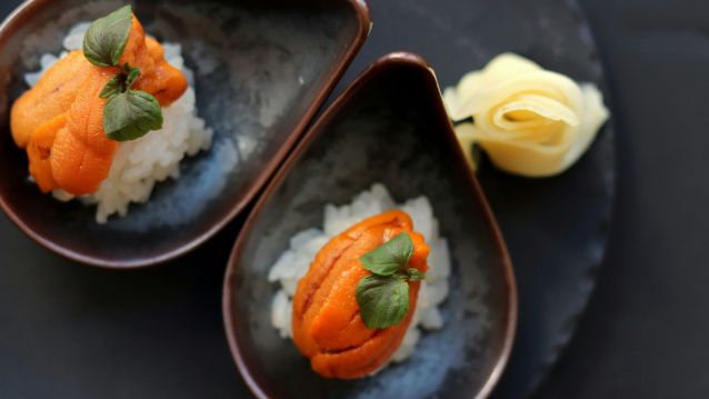 Arroz sushi con puré de mejillones