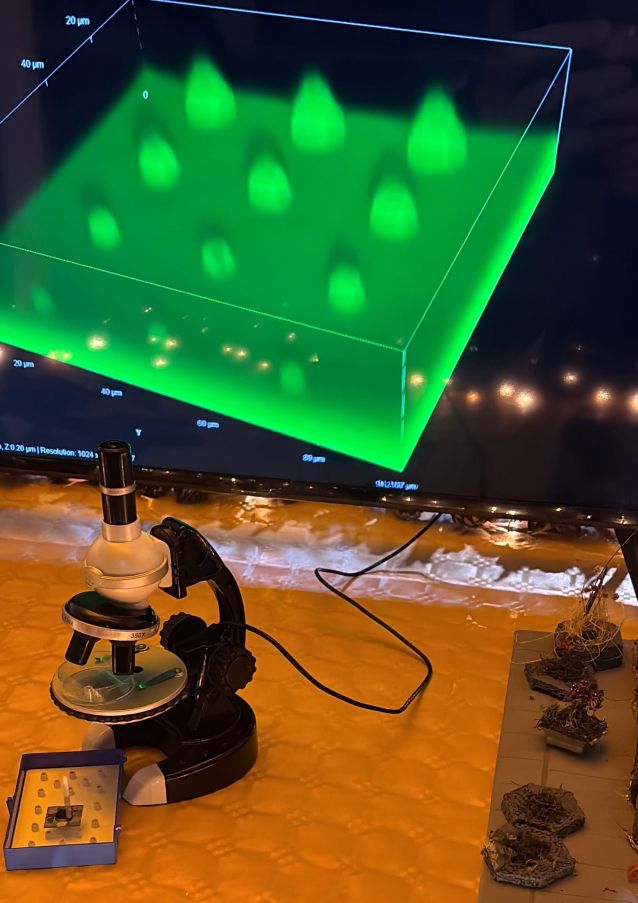 Microscopio para ver el árbol más pequeño del mundo Microscopio para ver el árbol más pequeño del mundo