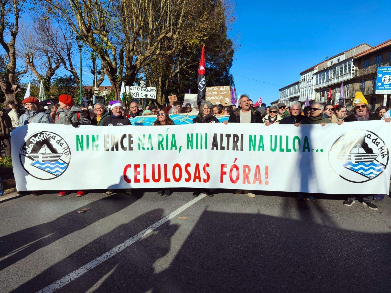 Marcha contra el proyecto de Altri en Palas de Rei