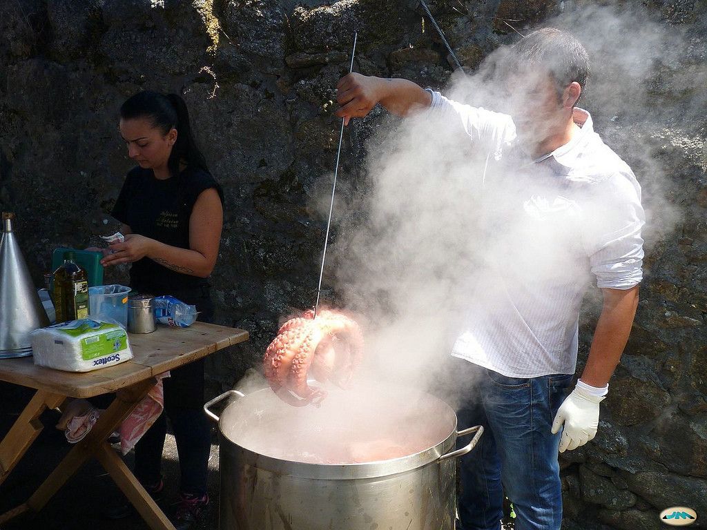 Pulpeiro
