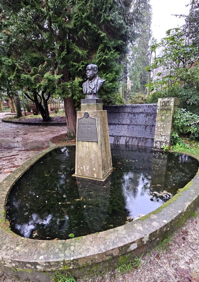 Estanque de Caldas donde permanece el alga invasora Estanque de Caldas donde permanece el alga invasora