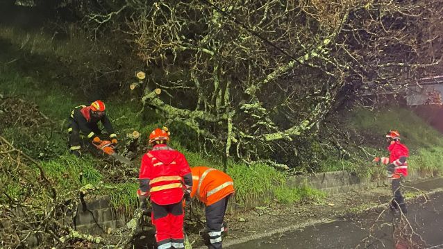 Protección Civil de Poio corta unha árbore caída
