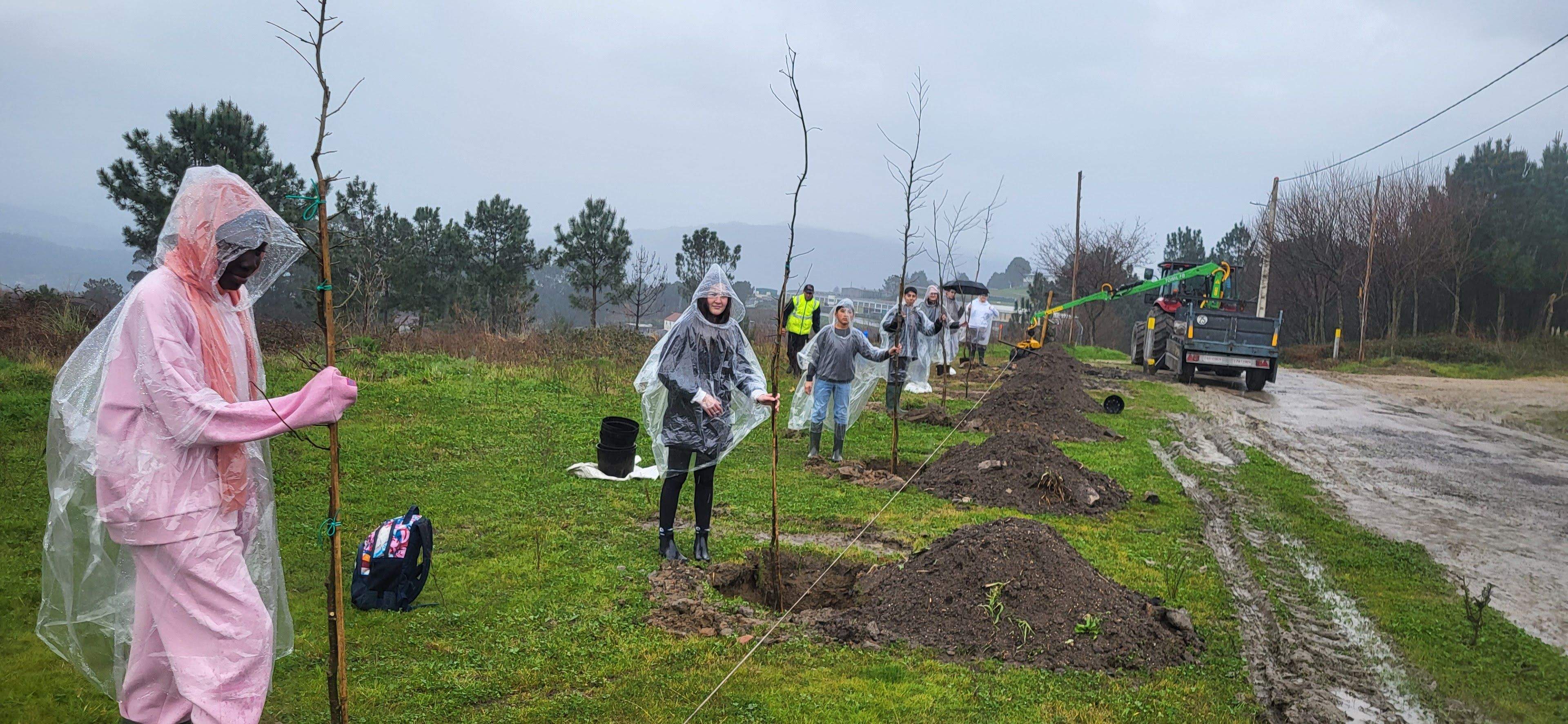 O Club de Ciencia da Xunqueira II planta árbores en Salcedo