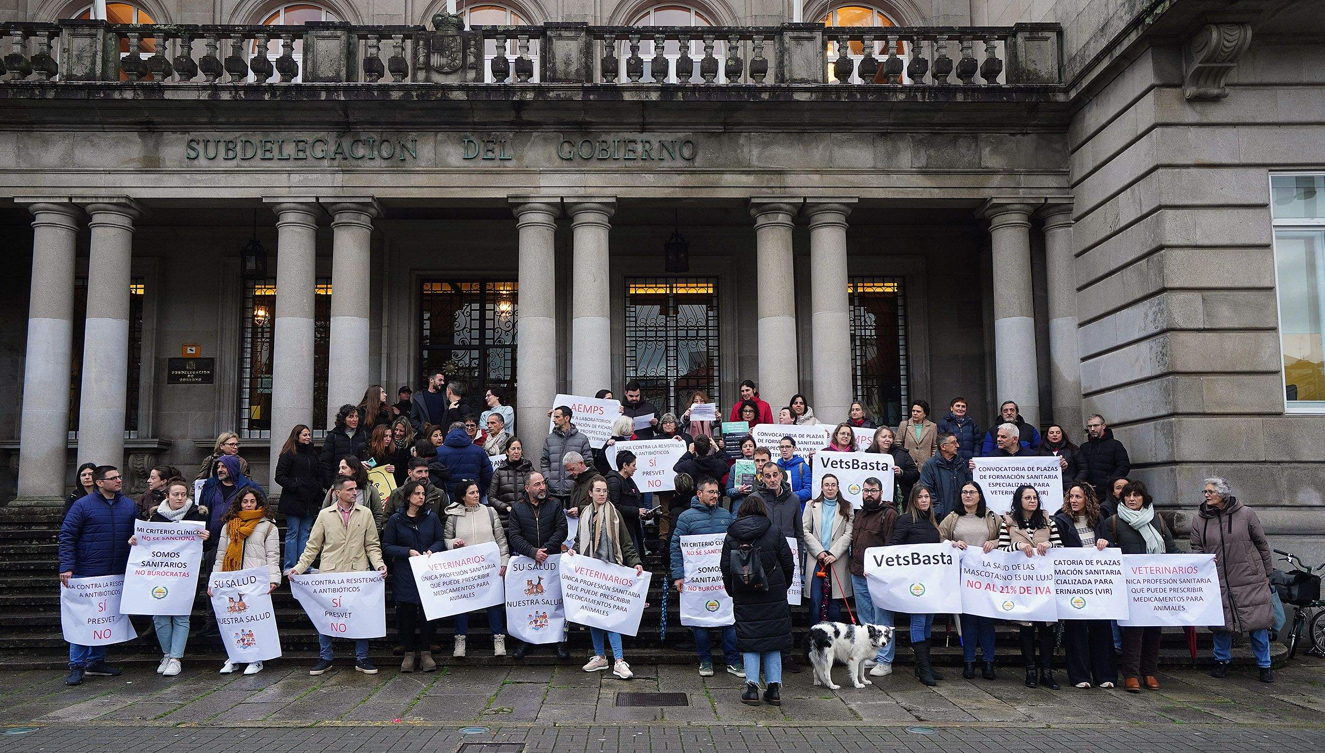 Protesta de veterinarios ás portas da Subdelegación do Goberno