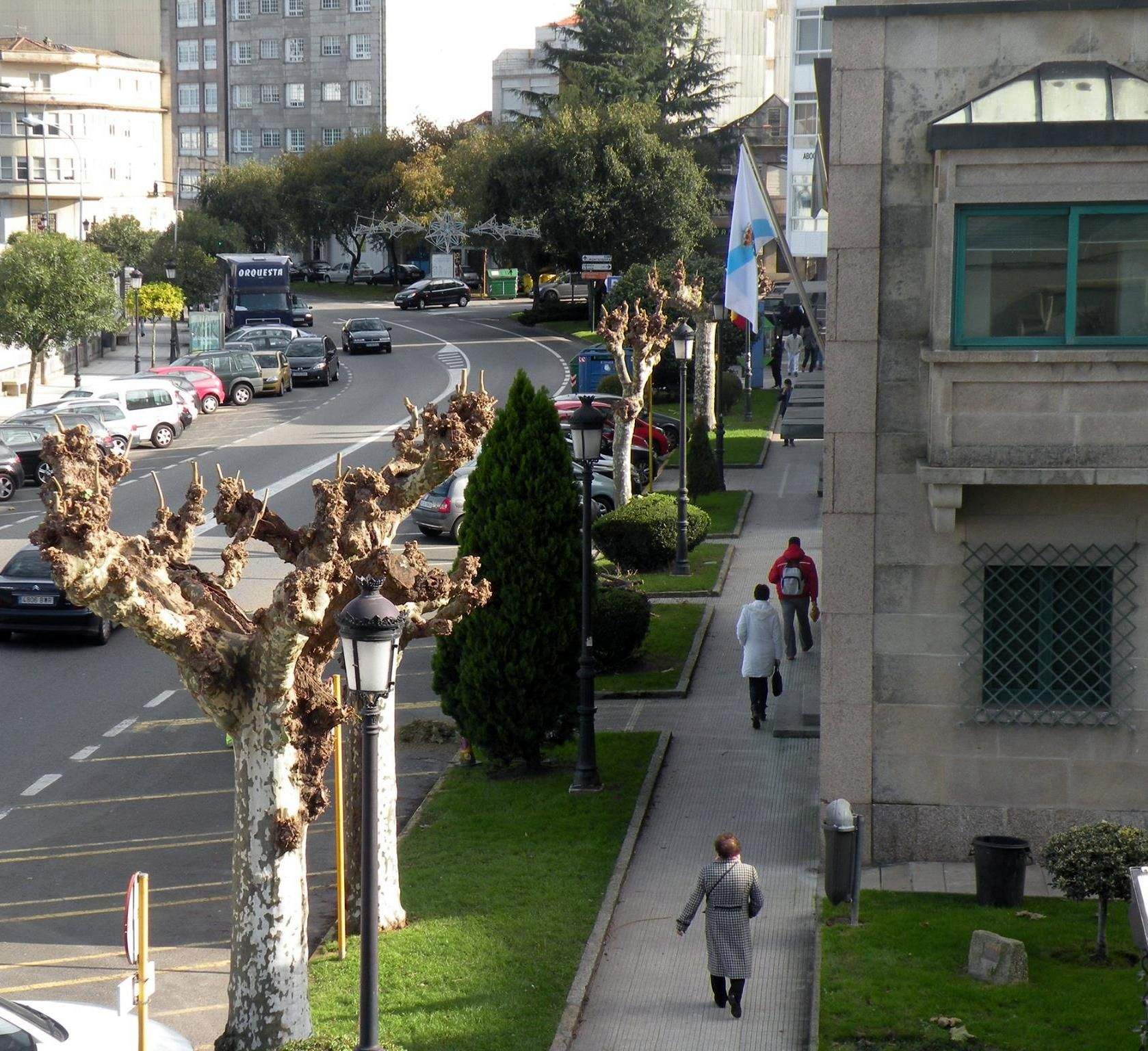 Árbores na Avenida de Ourense en Marín