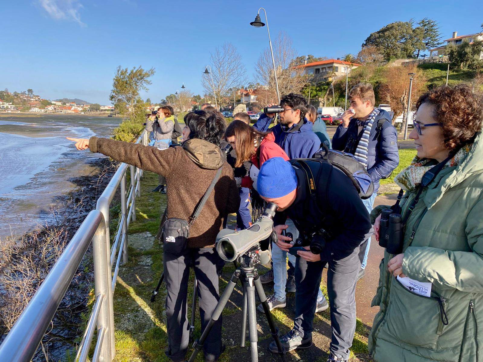 Actividad de observación de aves