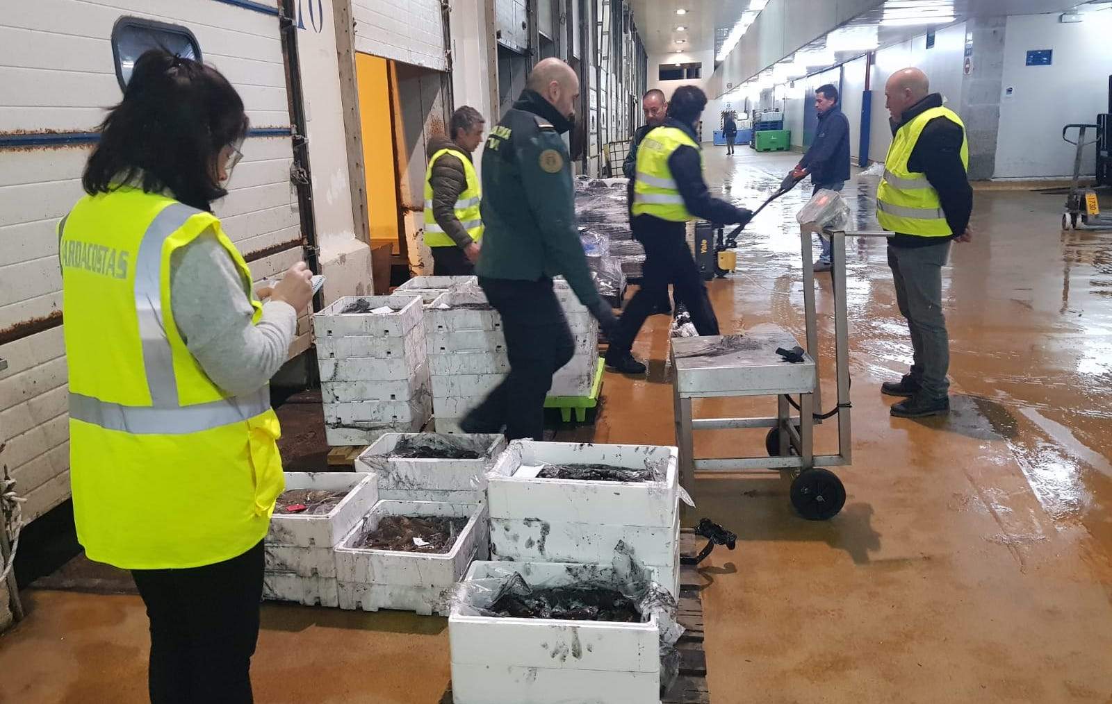 Operativo en el puerto de Tragove por la captura irregular de choco