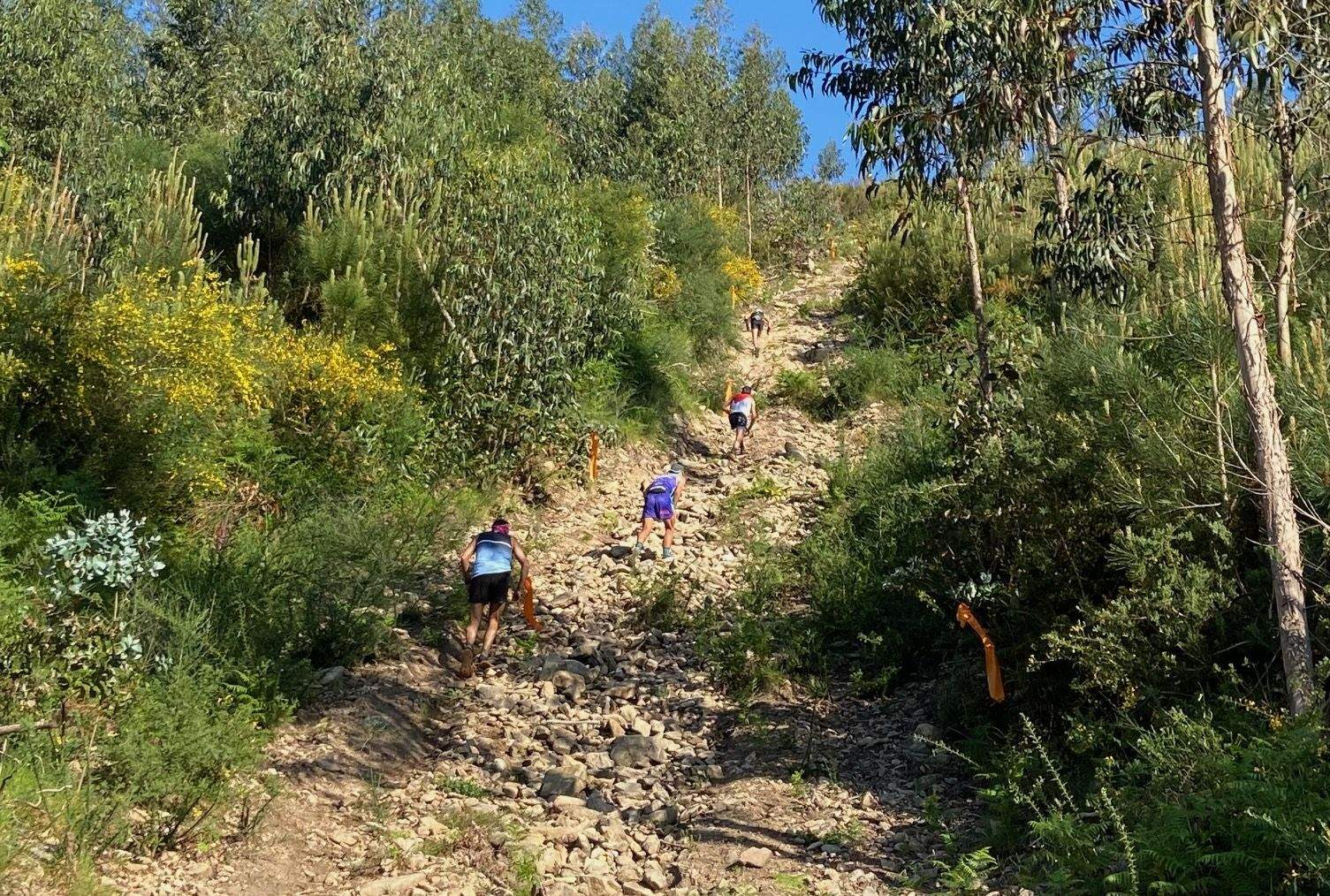 Primera edición del Trail Laxe dos Bolos