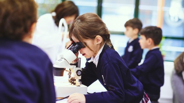 SEK International School Atlántico cuenta con todas las etapas educativas, desde los 4 meses hasta los 18 años SEK International School Atlántico cuenta con todas las etapas educativas, desde los 4 meses hasta los 18 años