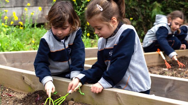 El alumnado de SEK International School Atlántico disfruta de espacios al aire libre, con luz natural y en contacto con la naturaleza El alumnado de SEK International School Atlántico disfruta de espacios al aire libre, con luz natural y en contacto con la naturaleza
