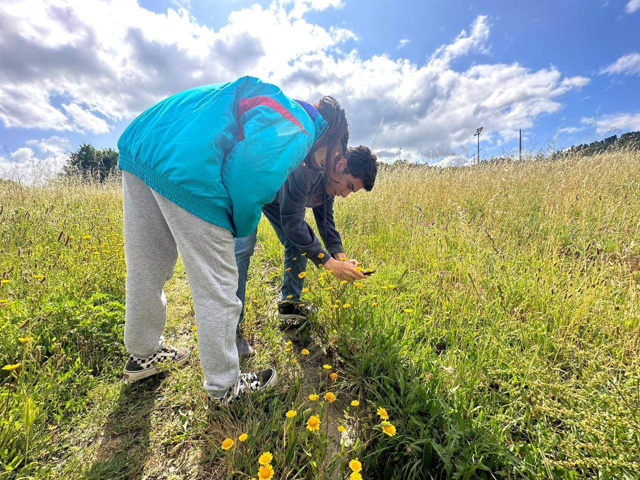 Participantes en una edición anterior del Bioblitz de la Universidad de Vigo