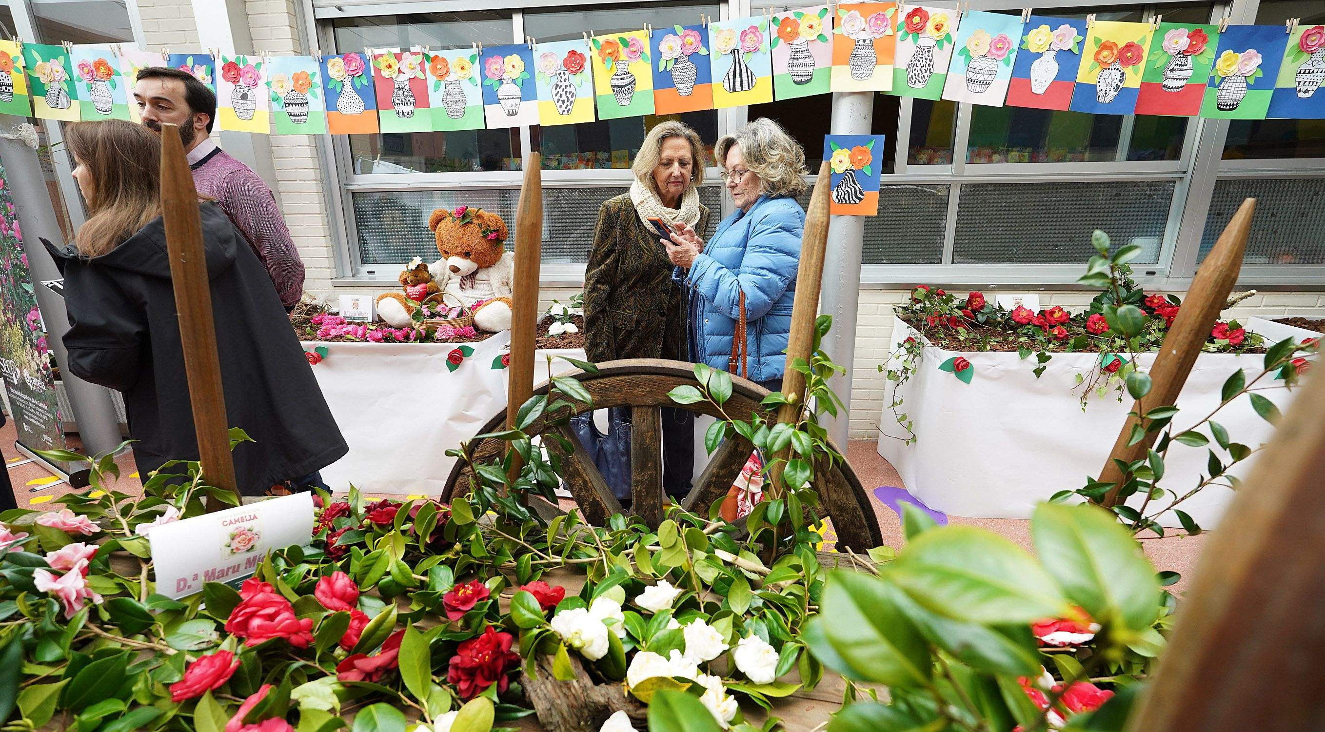 Exposición de la camelia en el Colegio de Campolongo
