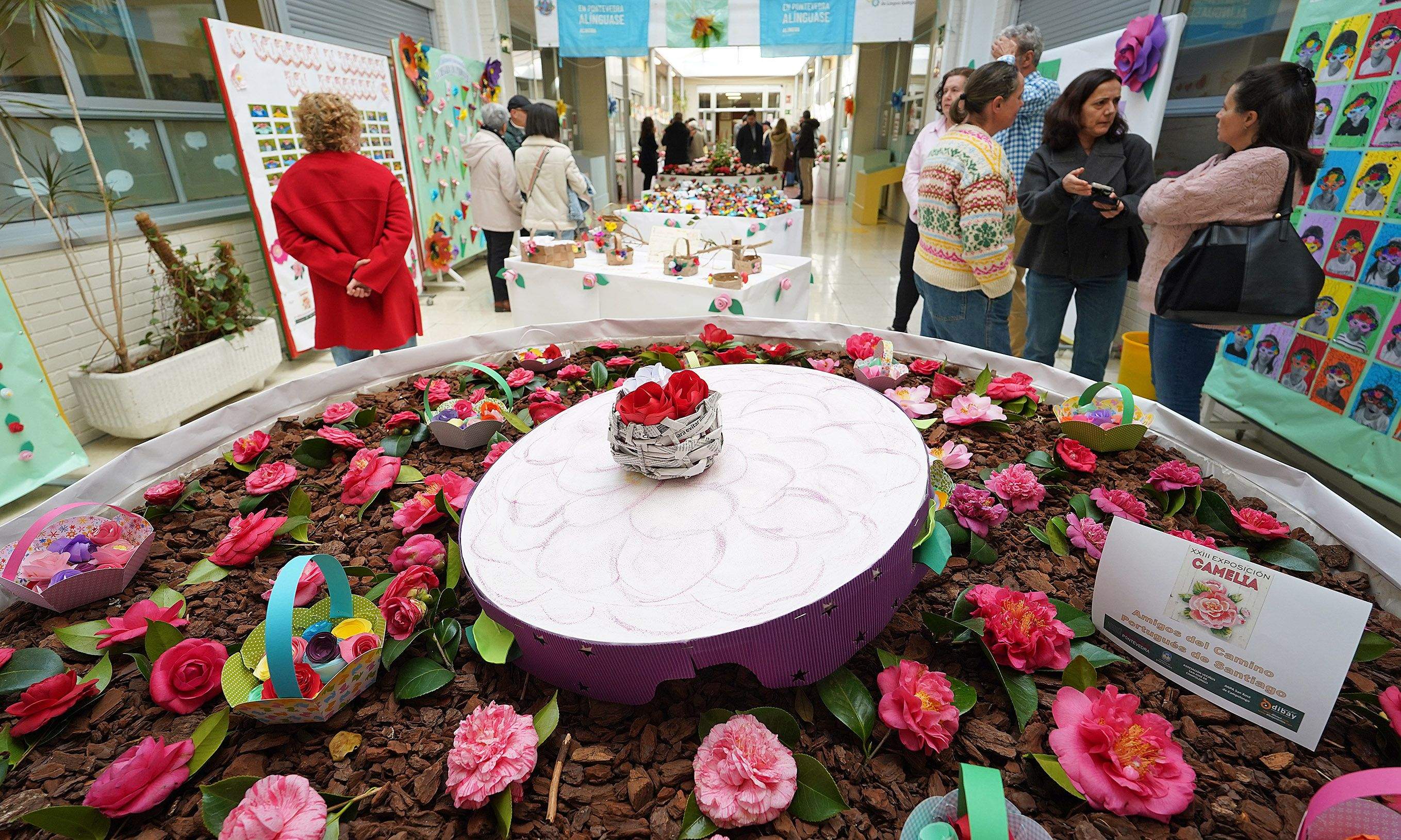 Exposición de la camelia en el Colegio de Campolongo