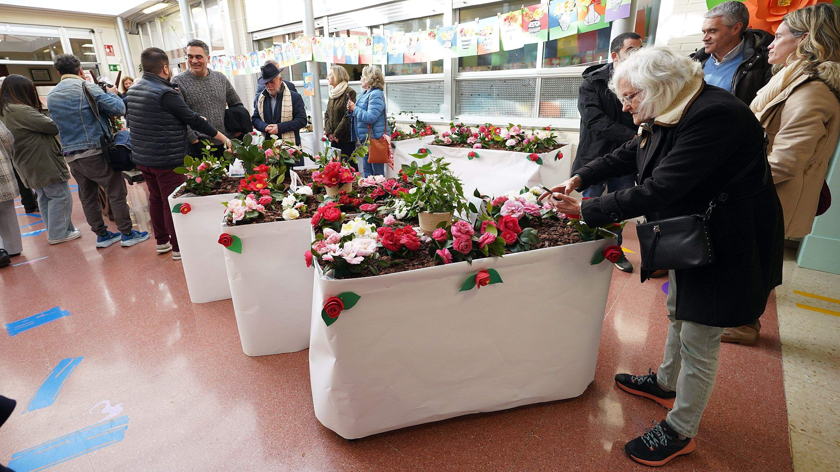 Exposición de la camelia en el Colegio de Campolongo