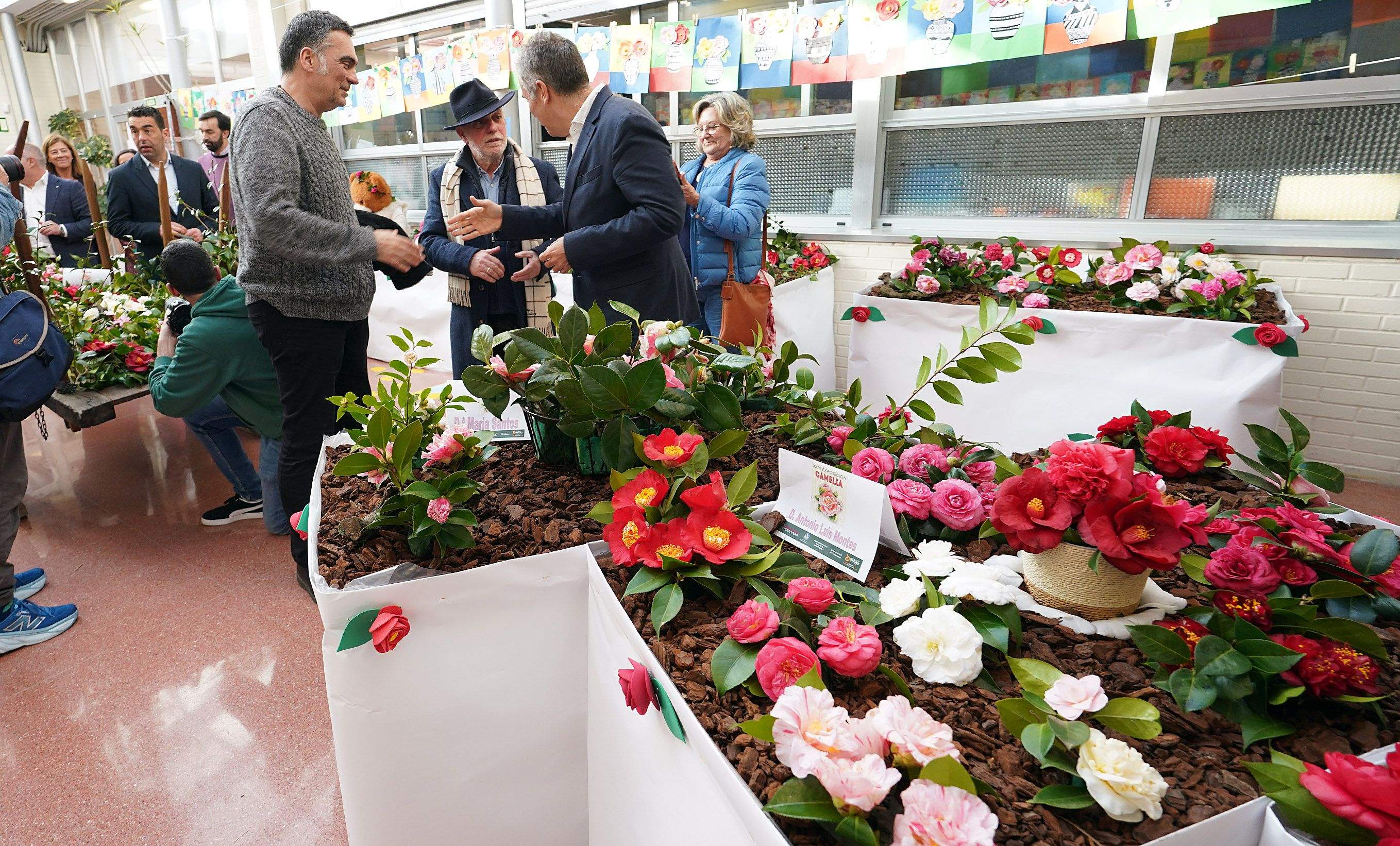 Exposición de la camelia en el Colegio de Campolongo