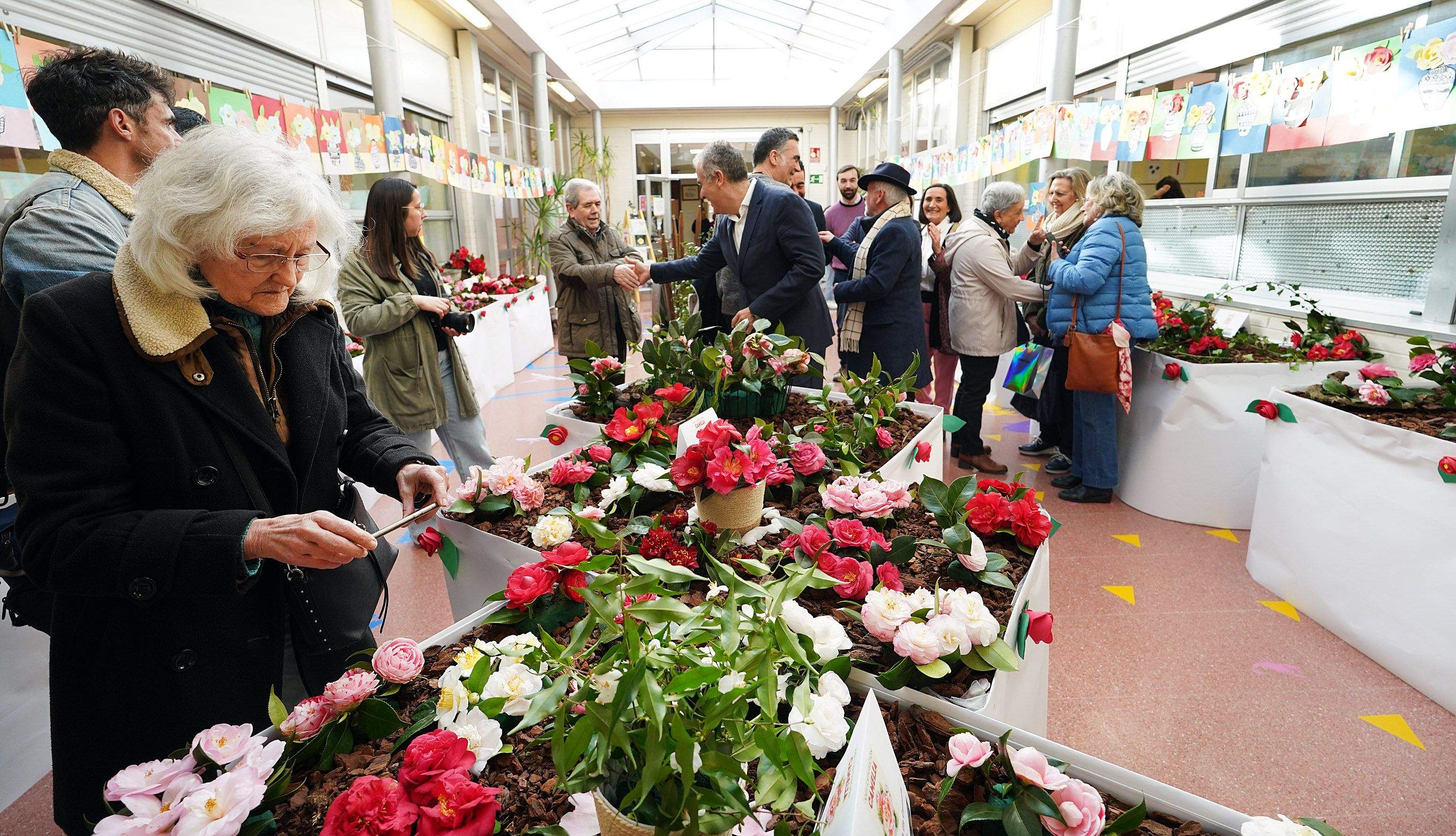 Exposición de la camelia en el Colegio de Campolongo