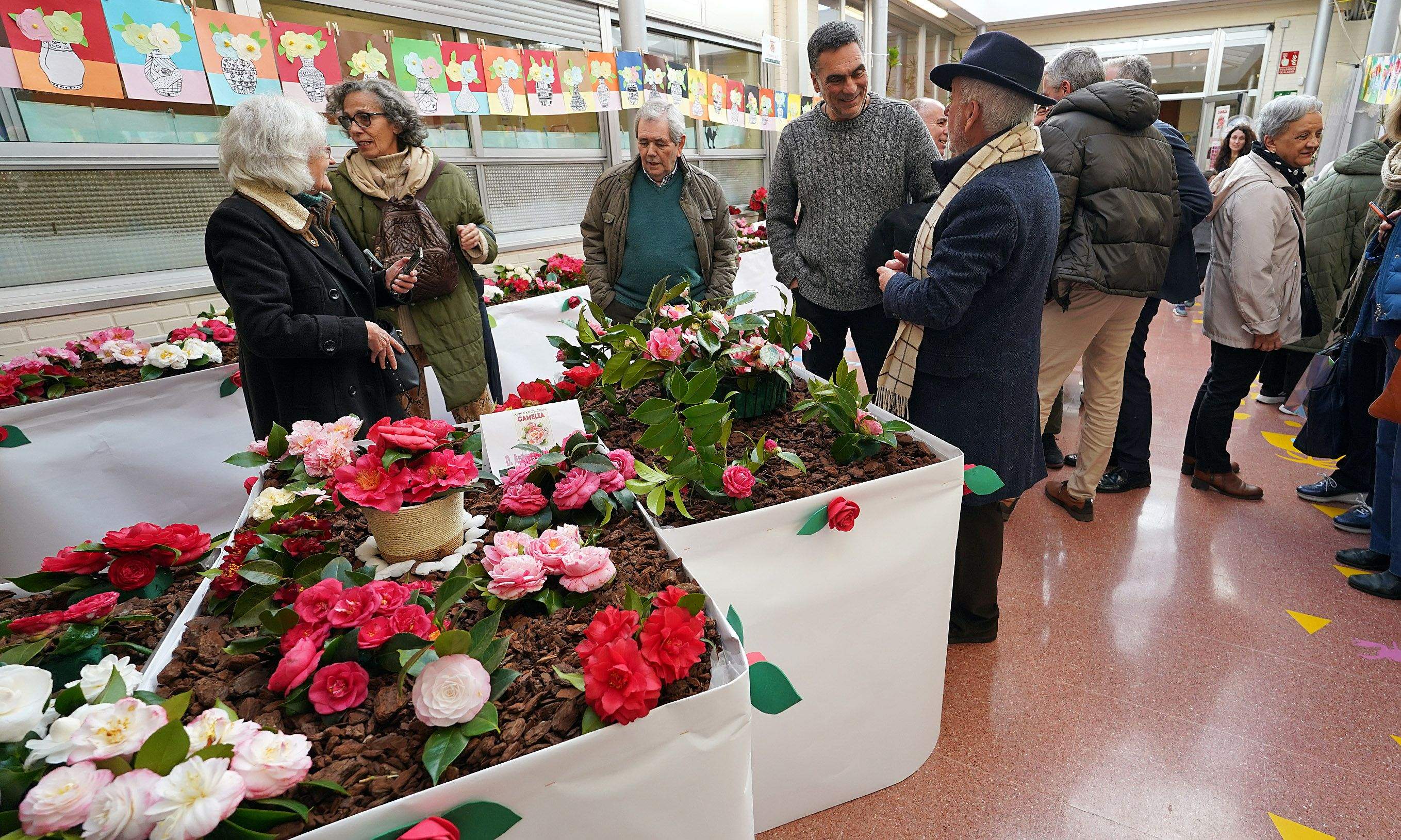 Exposición de la camelia en el Colegio de Campolongo