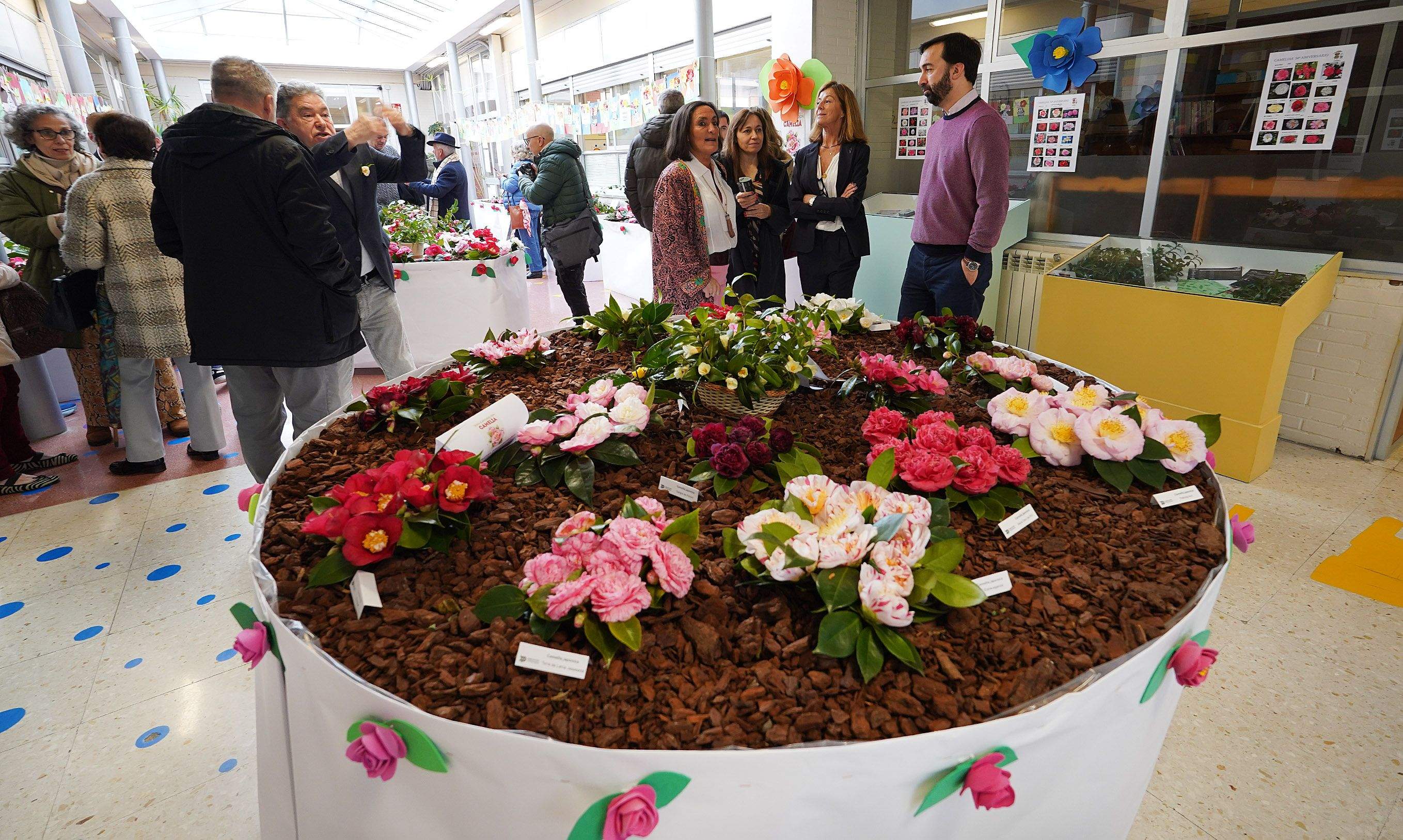 Exposición de la camelia en el Colegio de Campolongo