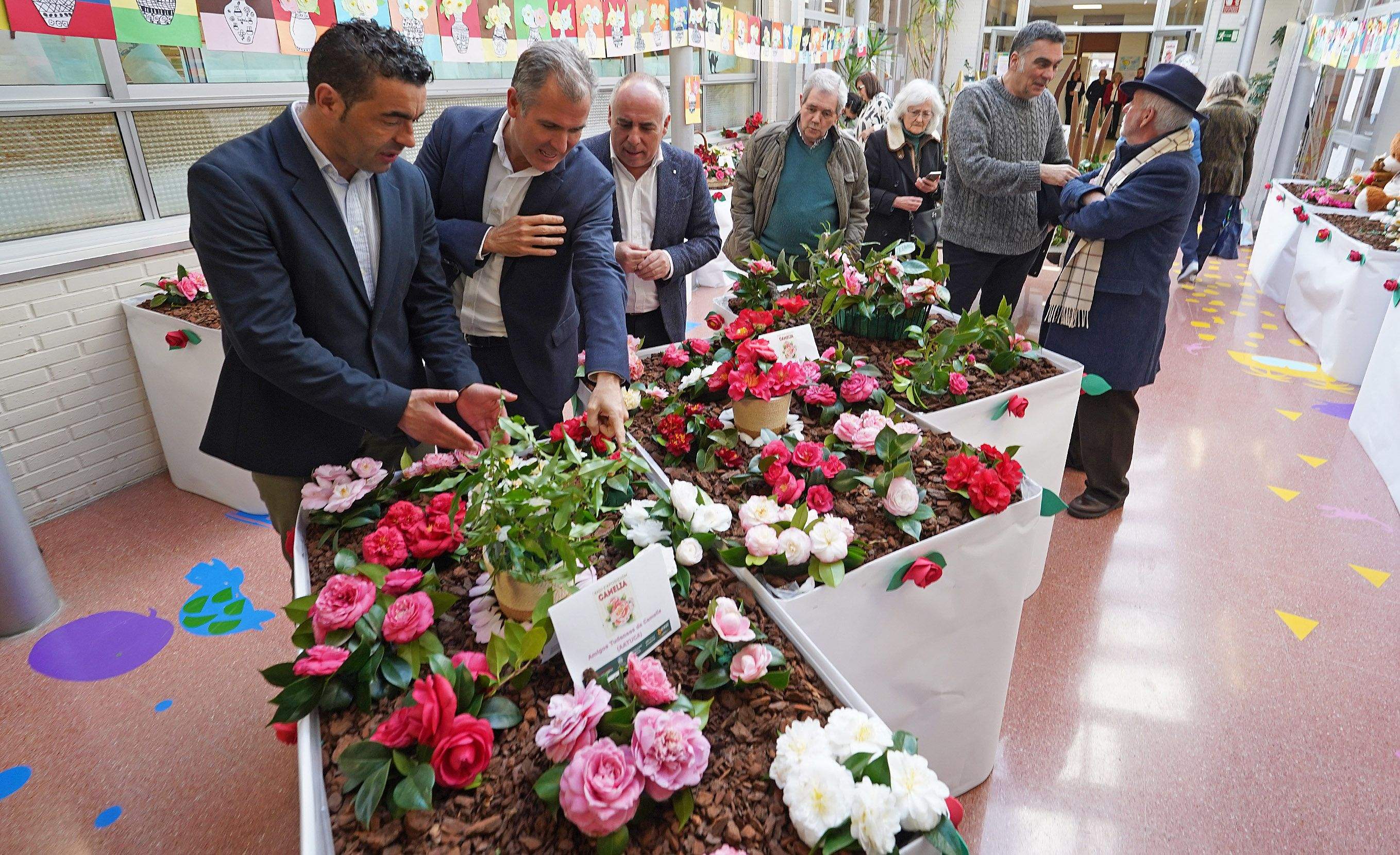 Exposición de la camelia en el Colegio de Campolongo