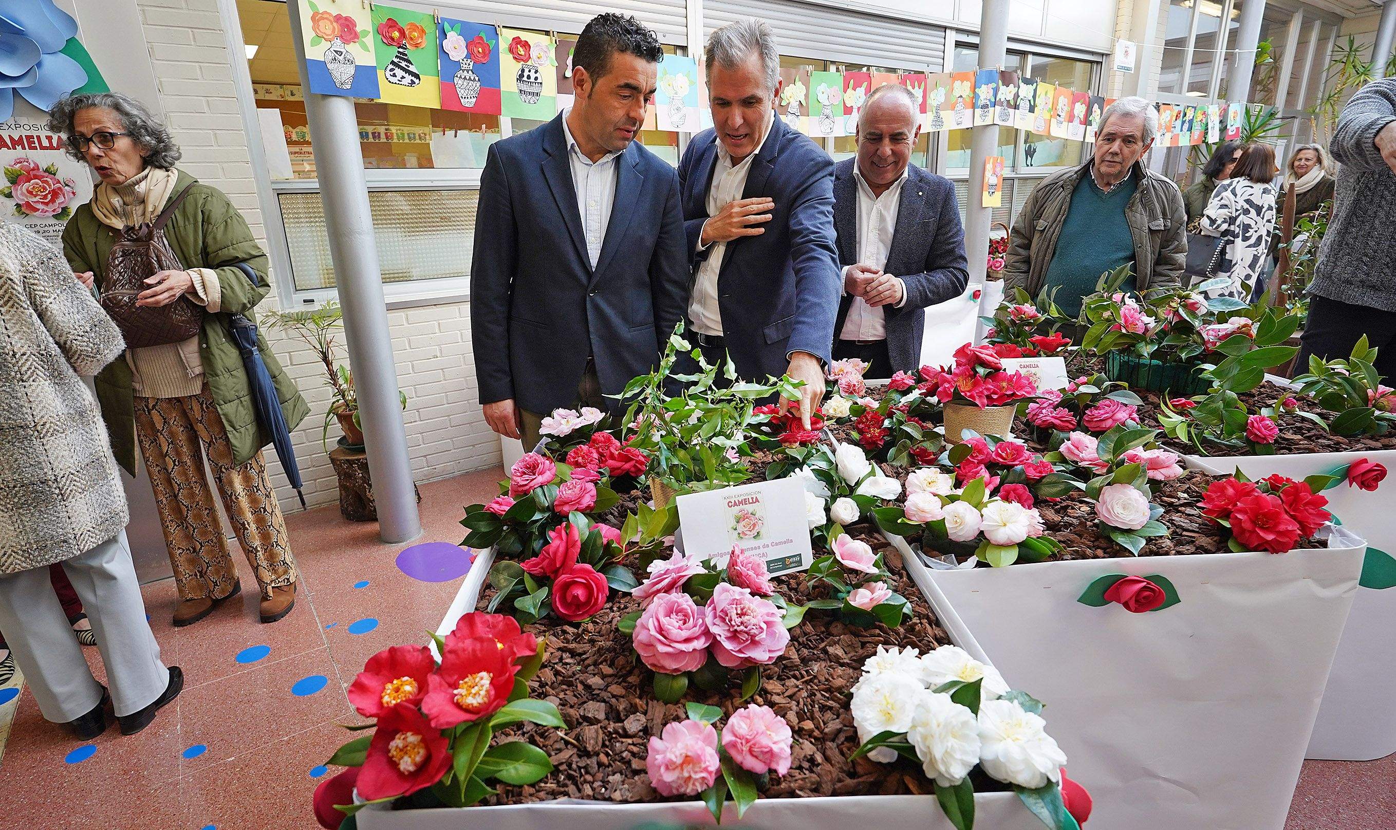 Exposición de la camelia en el Colegio de Campolongo