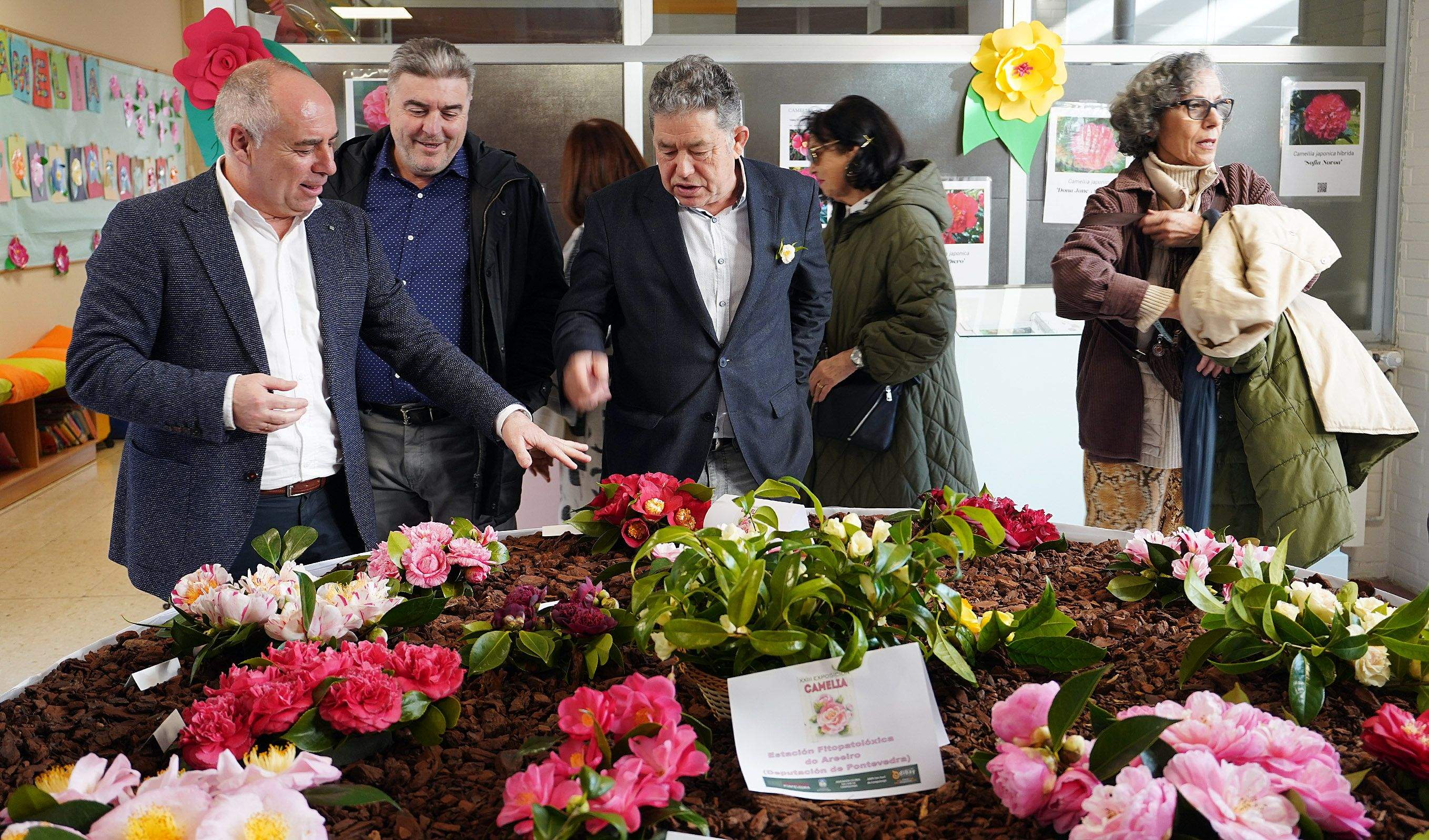 Exposición de la camelia en el Colegio de Campolongo