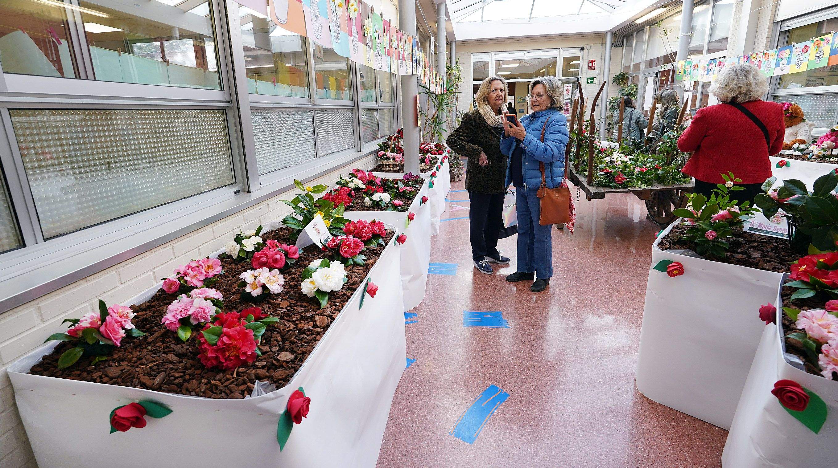 Exposición de la camelia en el Colegio de Campolongo