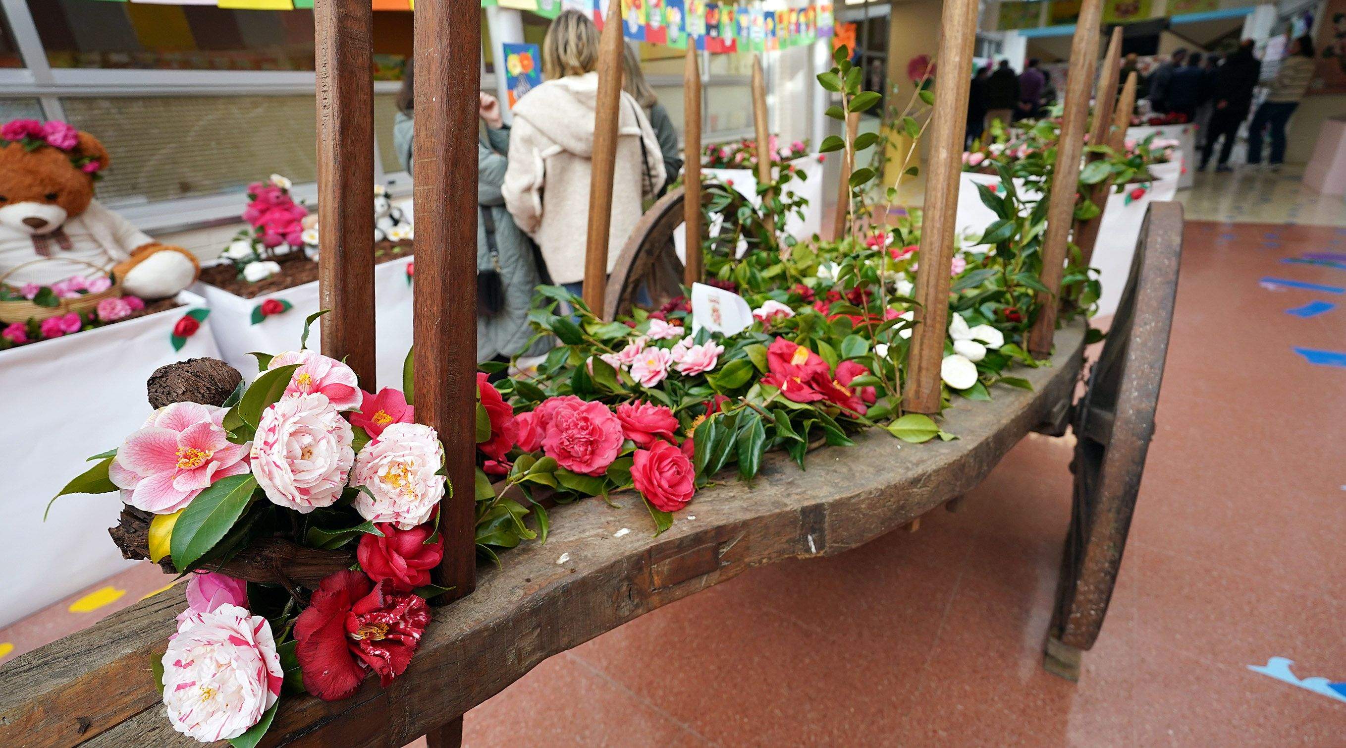 Exposición de la camelia en el Colegio de Campolongo