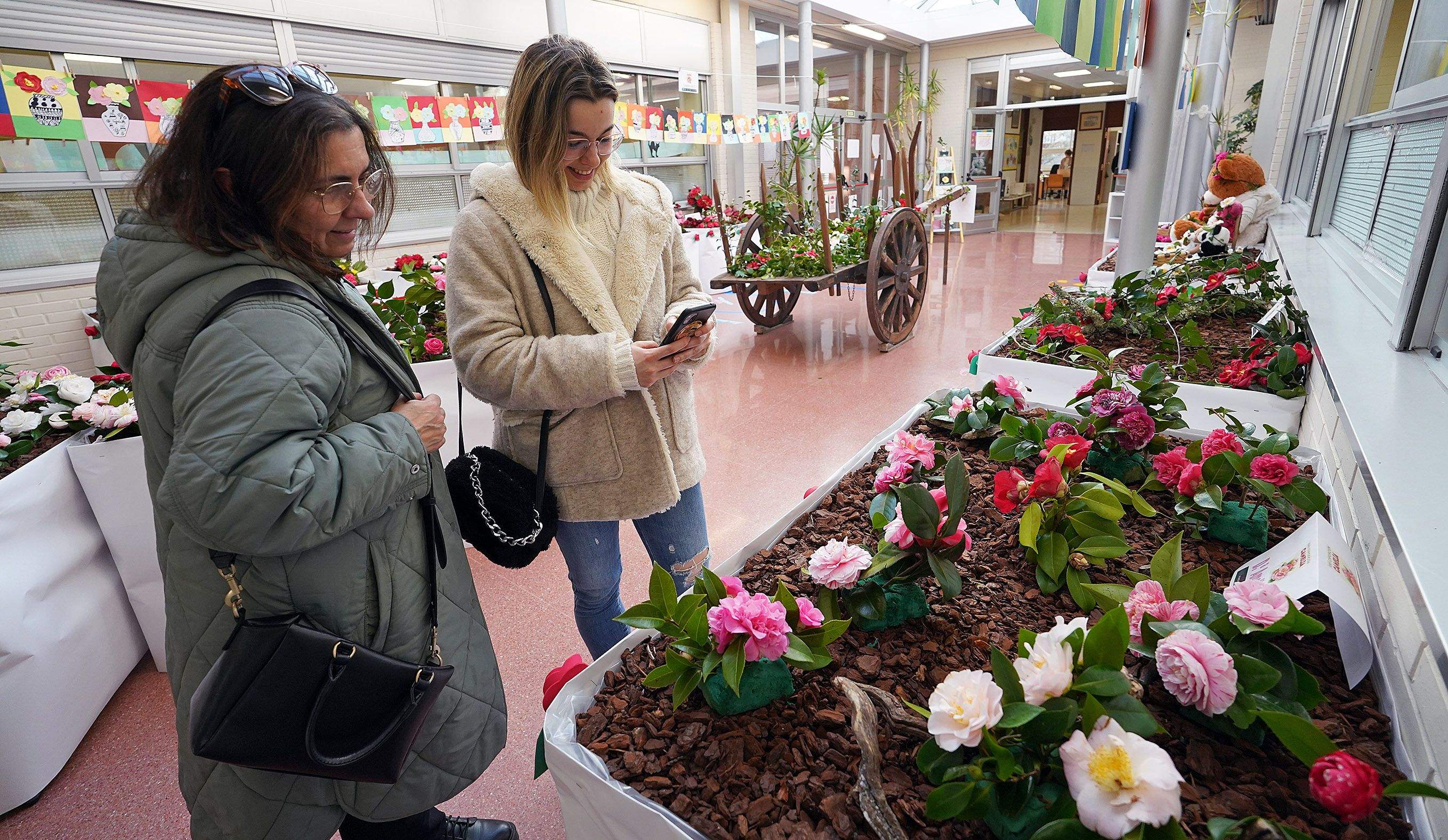 Exposición de la camelia en el Colegio de Campolongo