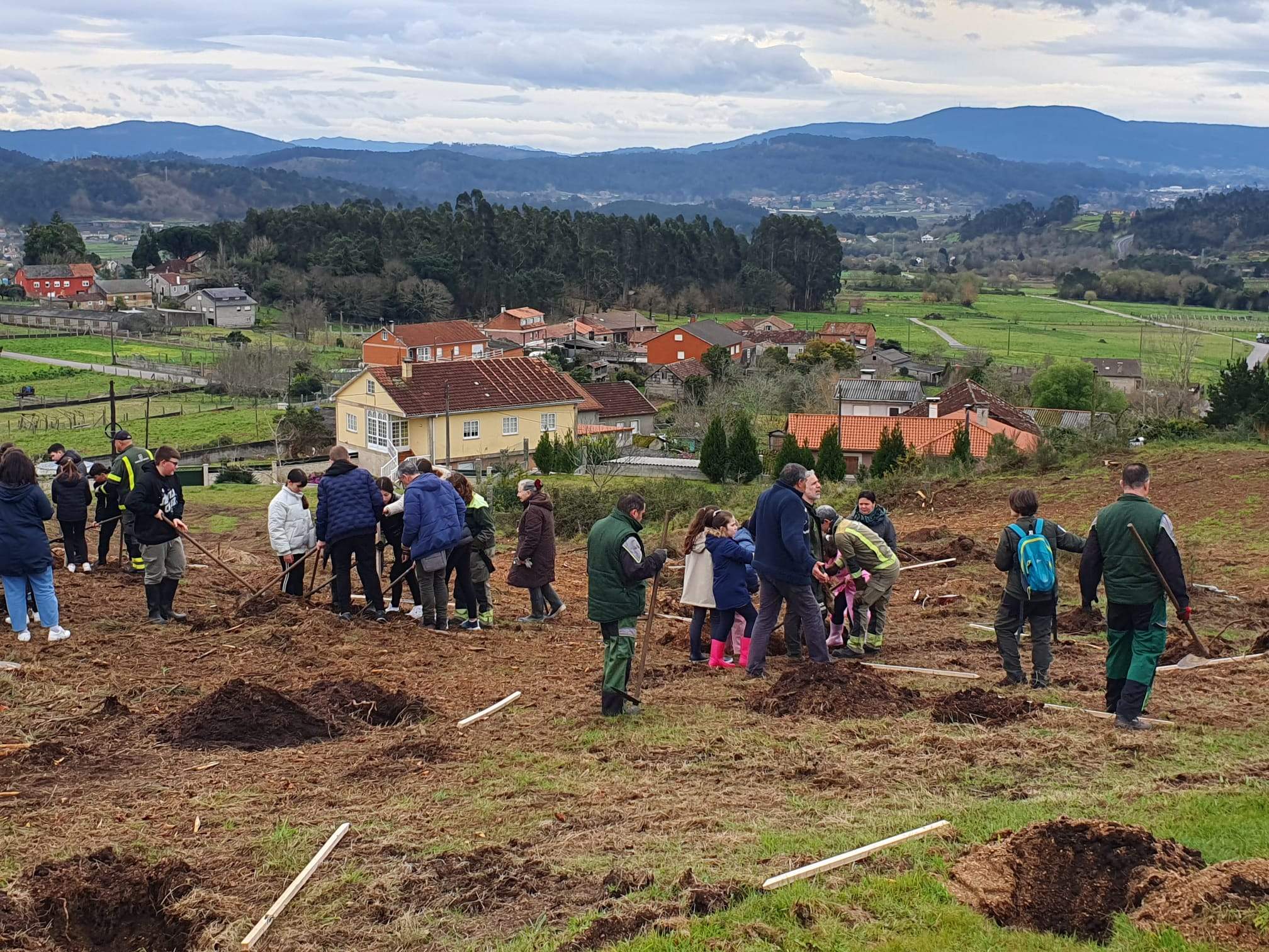 Escolares de Caldas de Reis celebran o Día da Árbore