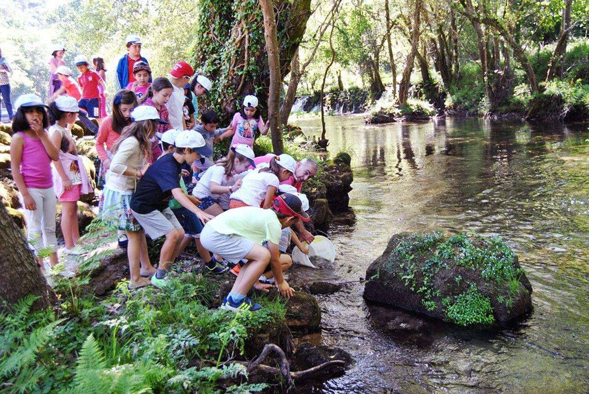 Alumnos del CEIP Cordo Boullosa soltando truchas en el río Verdugo