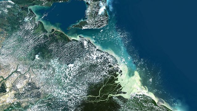 Perspectiva satelital da costa que Colón recoñeceu indubidabelmente coma pertencente a un continente ignoto. Delta do Orinoco, alagado en gran parte, e illa da Trindade.