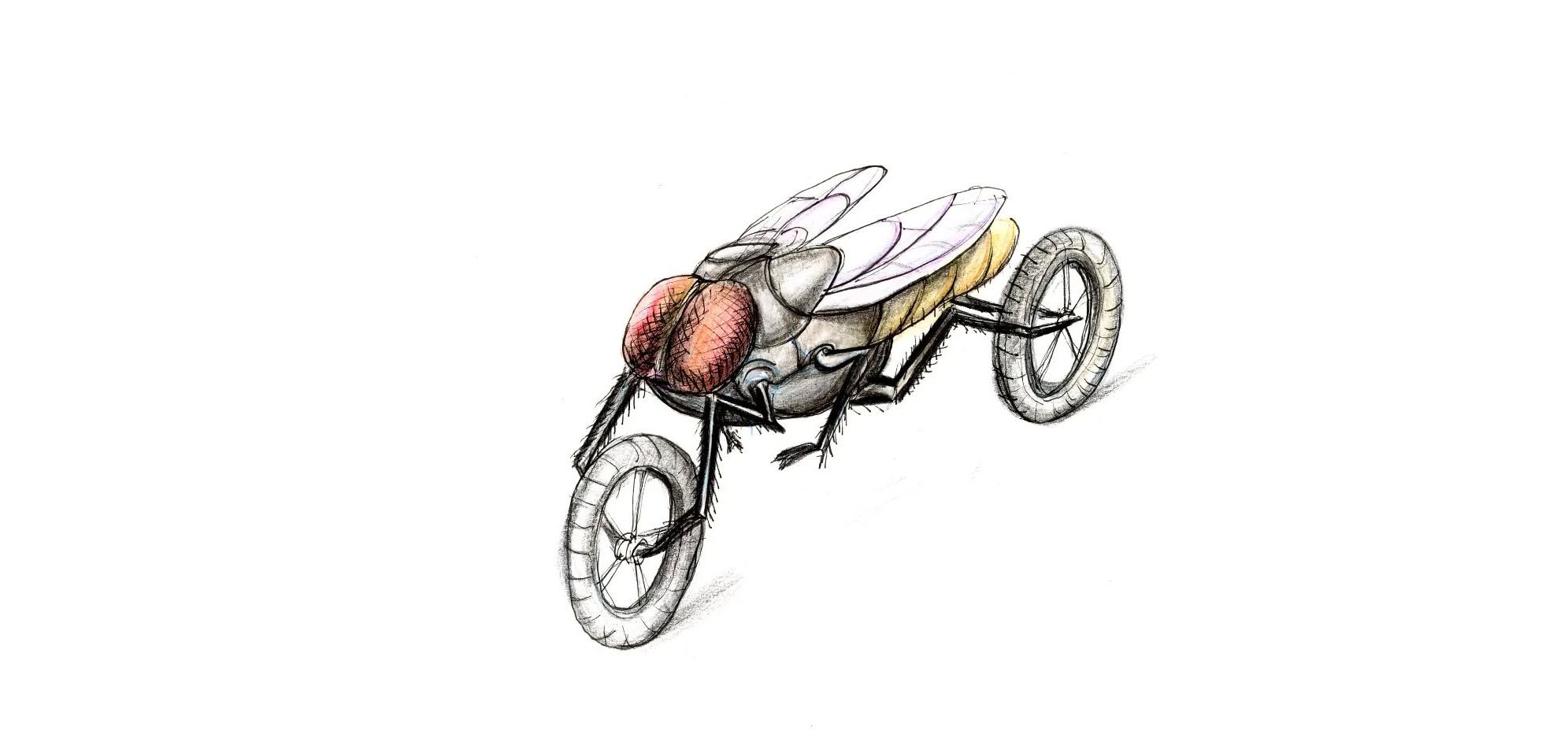 Motomosca, viñeta de Santiago Pérez Álvarez