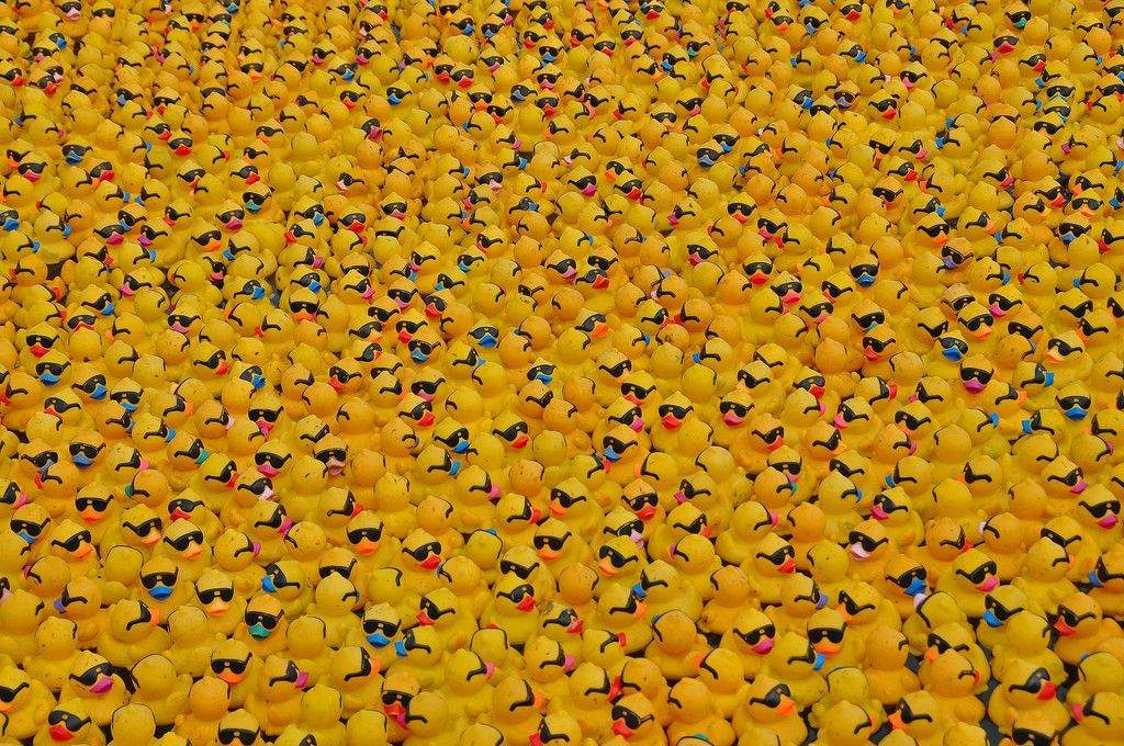 Patitos de goma en el río
